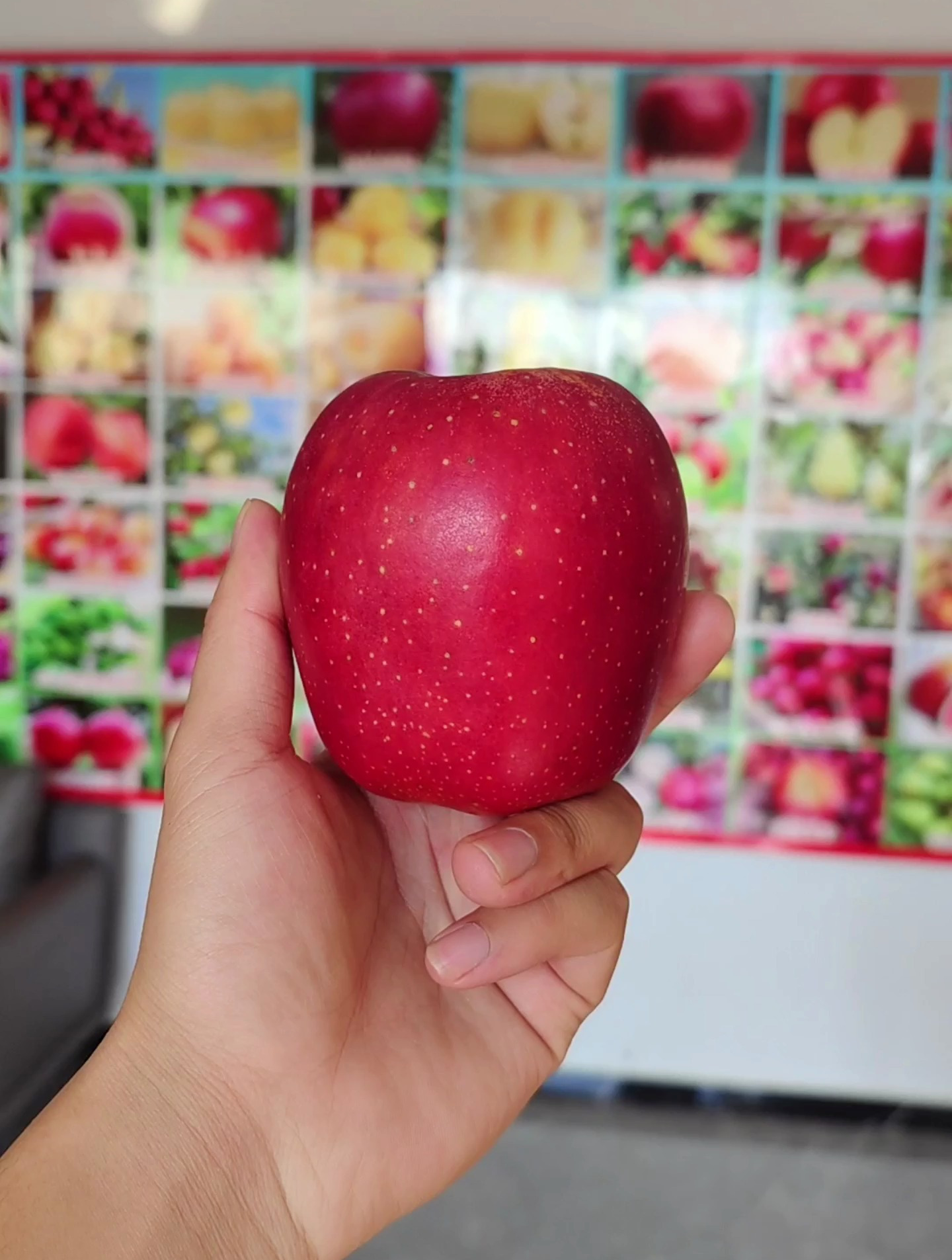 红星六代苹果品种