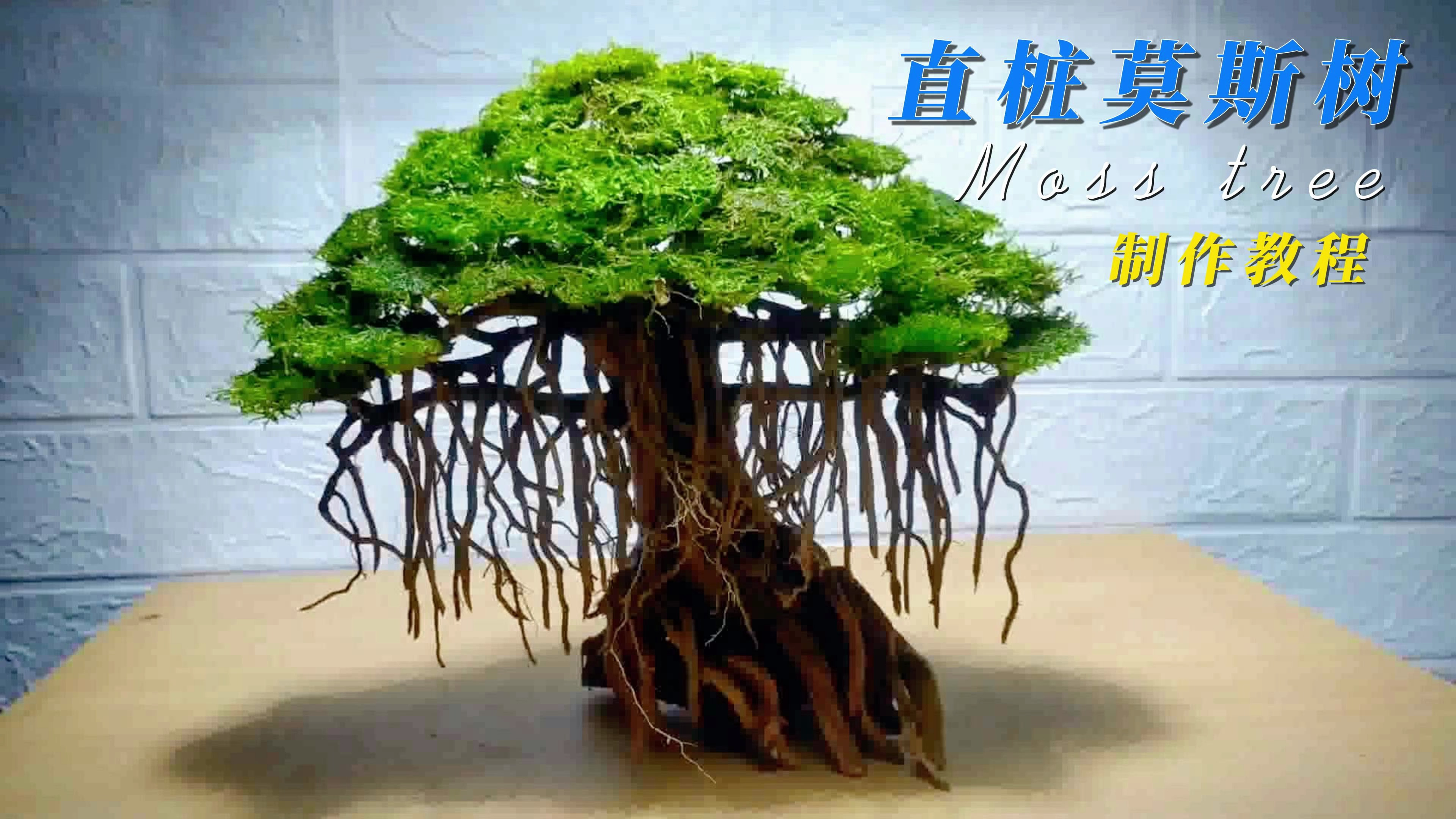 鱼缸造景没素材?自己diy制作一棵直桩“榕树”,简单又好看