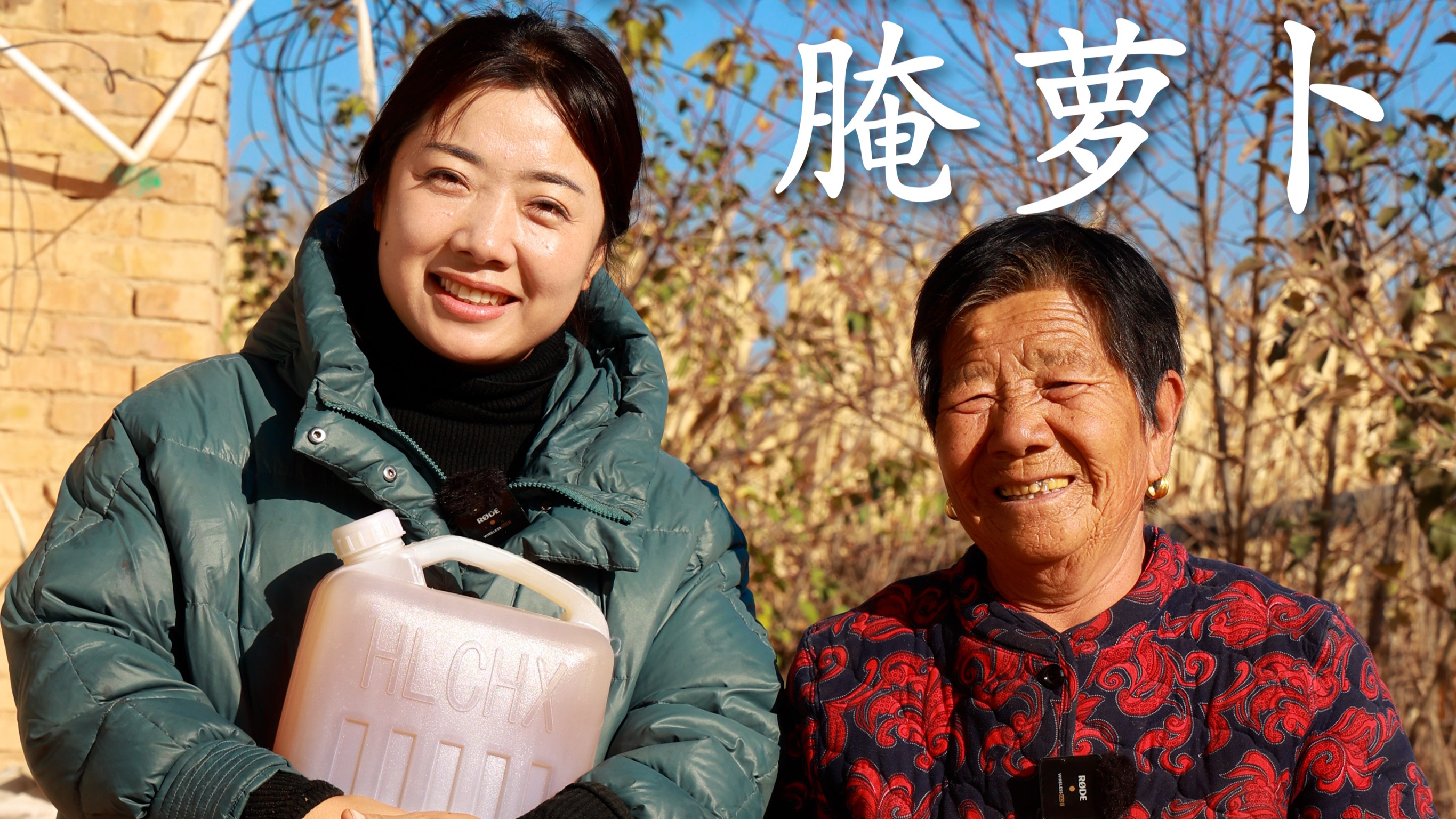 进入冬天就要备过冬菜了,腌一缸酸萝卜,够吃一冬天