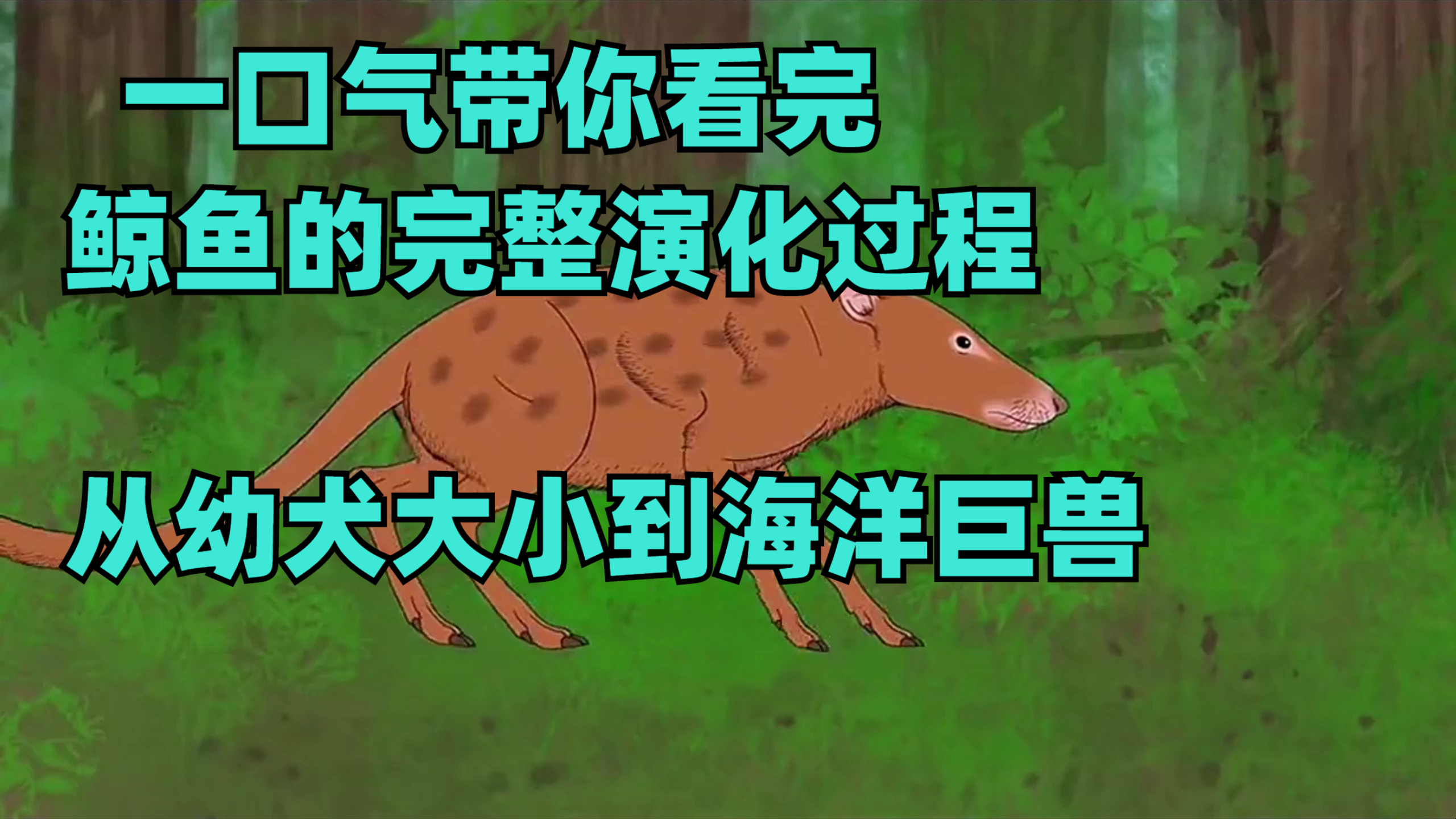 一口气带你看完鲸鱼的完整演化过程,从幼犬大小到海洋巨兽