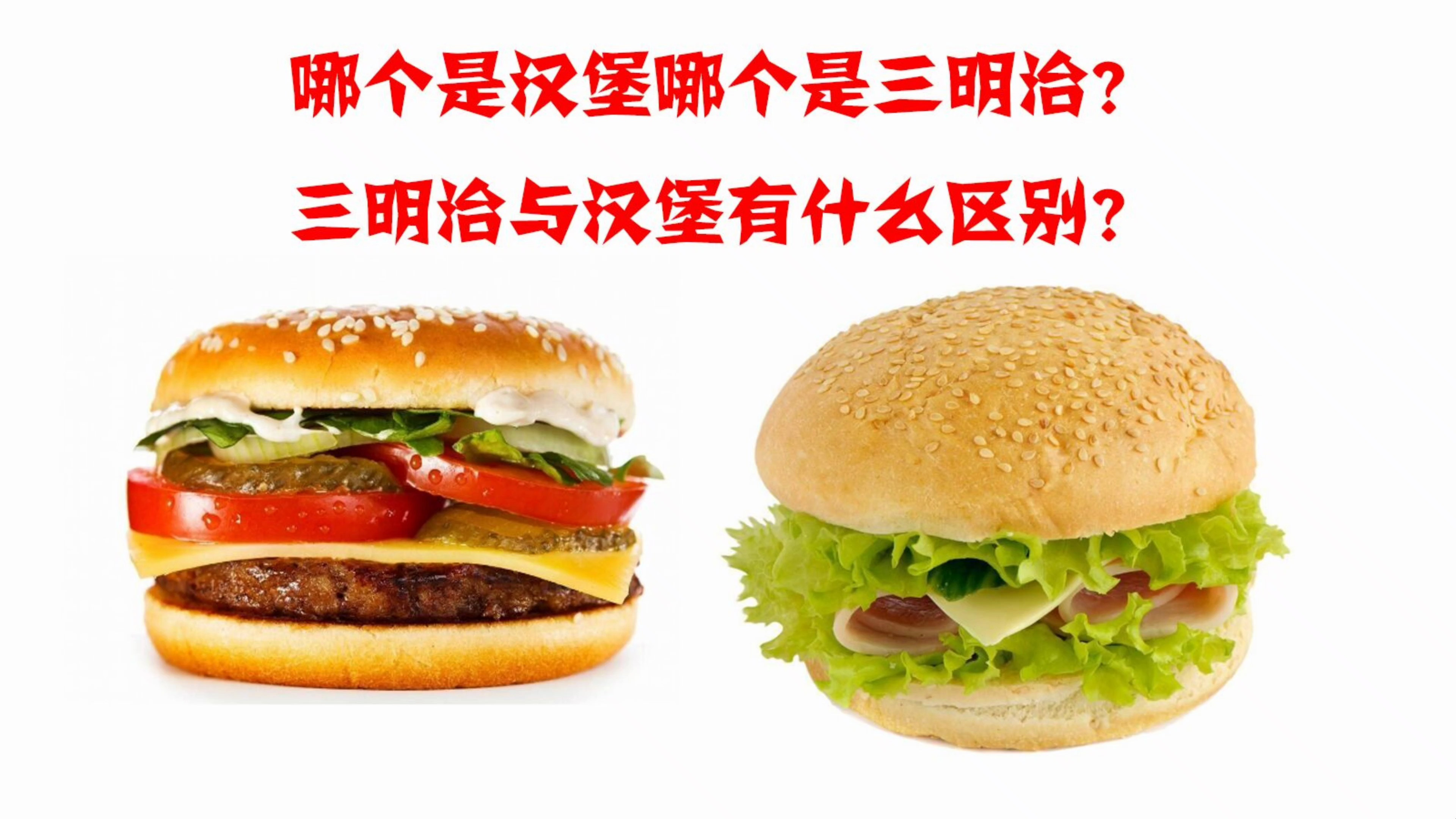 并不是所有圆的都是汉堡,三明治与汉堡有什么区别?一步就能搞懂