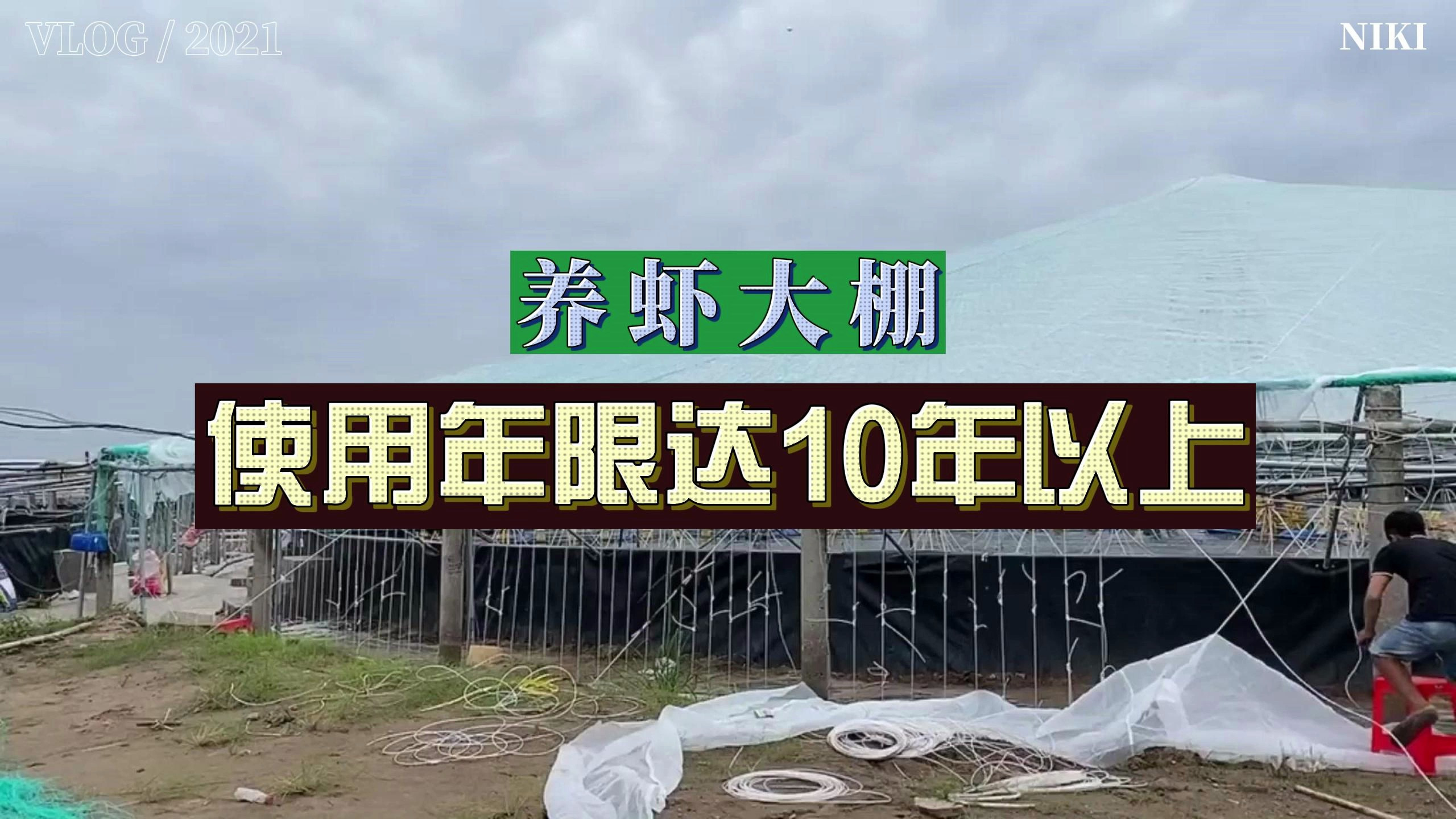 厉害了!这个大棚是养虾利器,使用年限达10年以上!