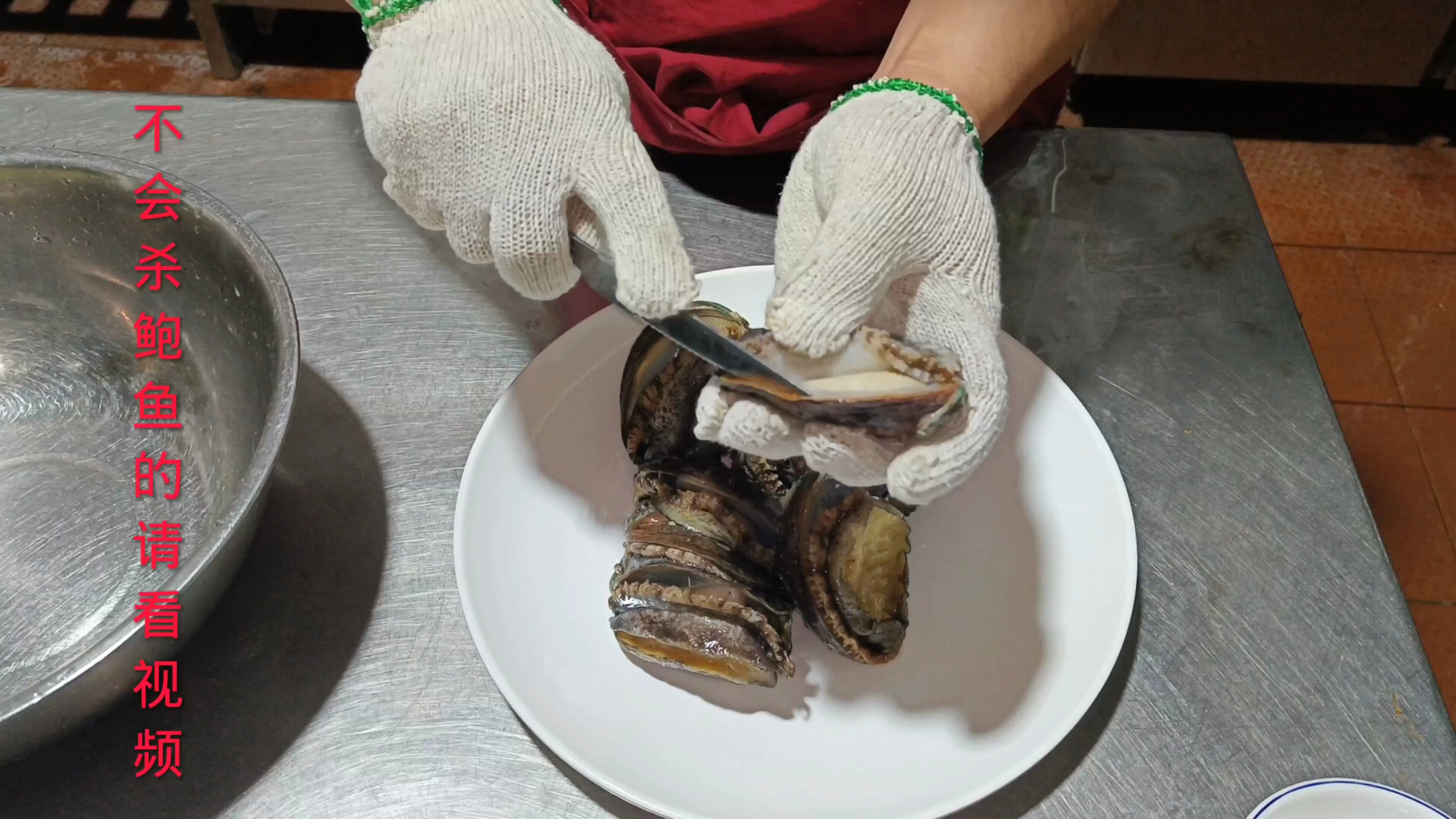 有谁不会杀鲍鱼,不会清洗鲍鱼的,请跟着视频来做