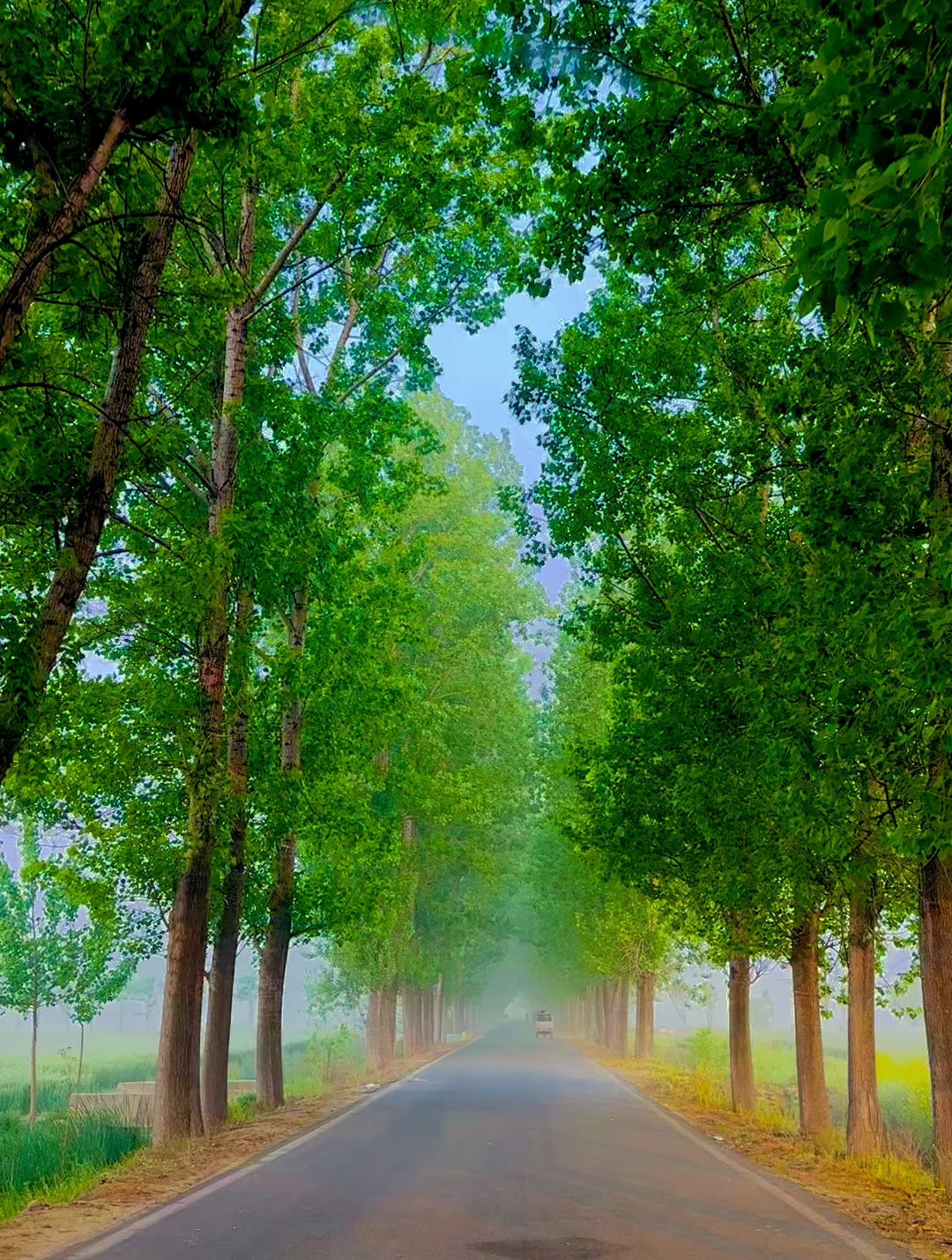 世界上最美的风景都不及回家的路,五一你会回家吗?