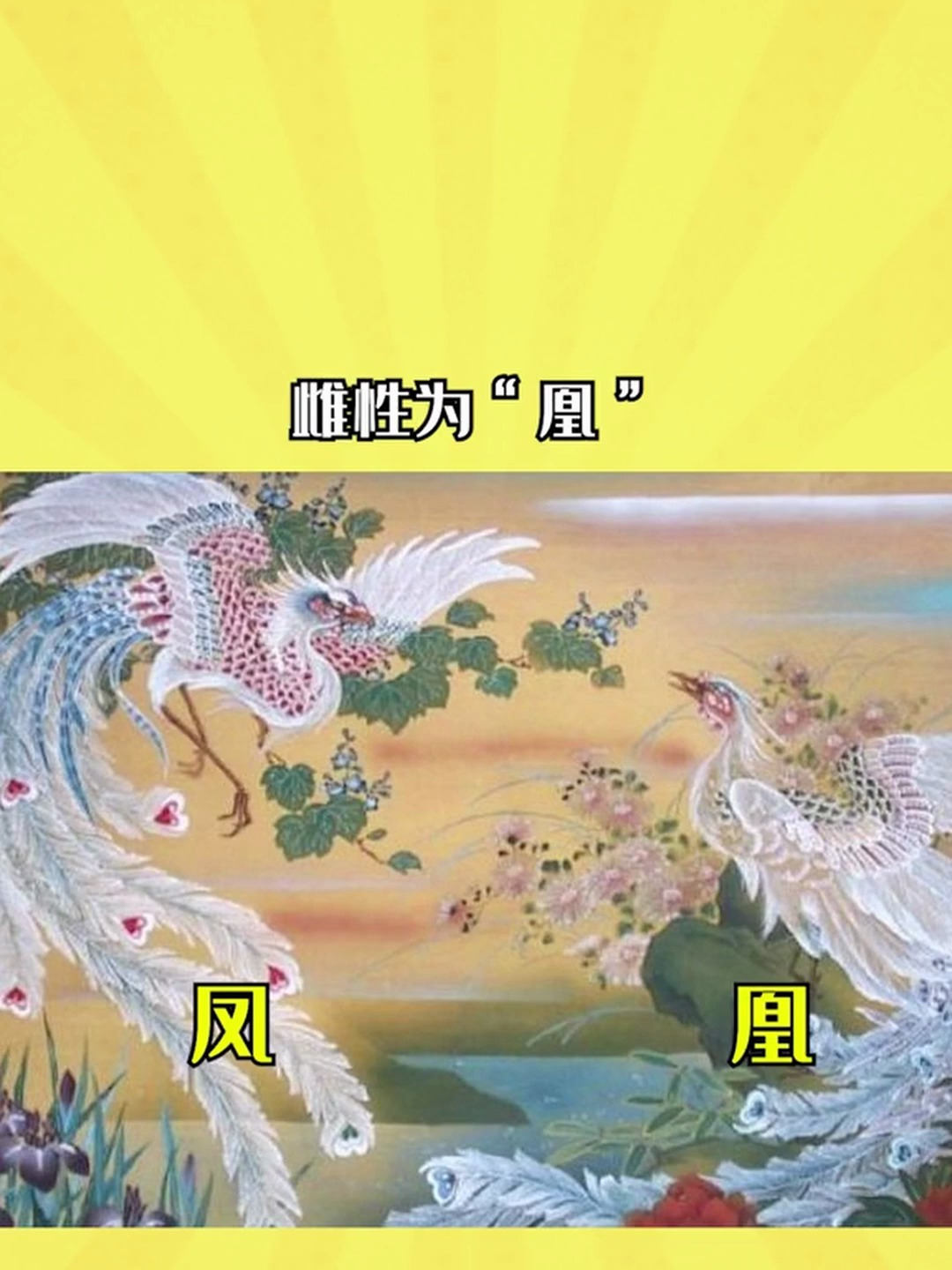 99的人都搞错了龙凤其实不是一对儿凤和凰才是一对儿