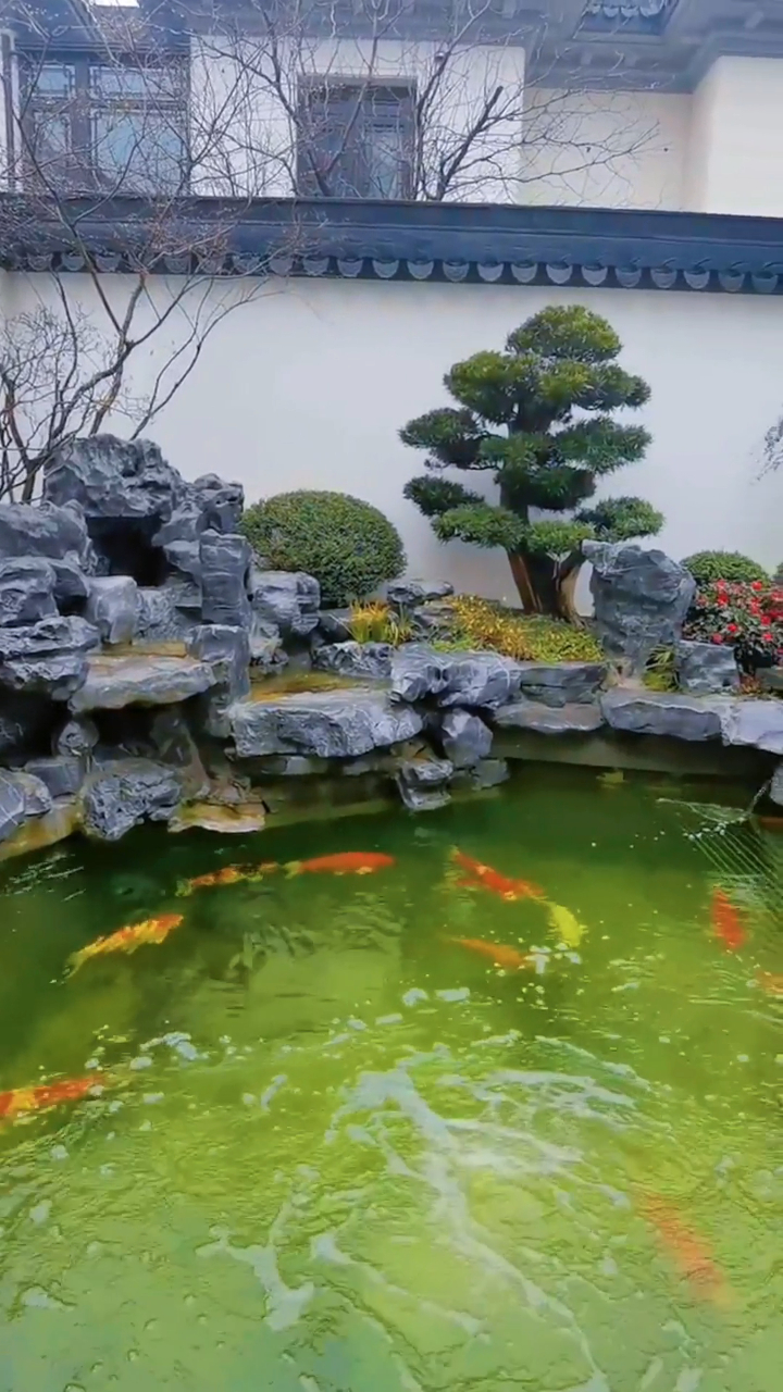中式别墅庭院假山鱼池景观,这水也太清了!-度小视