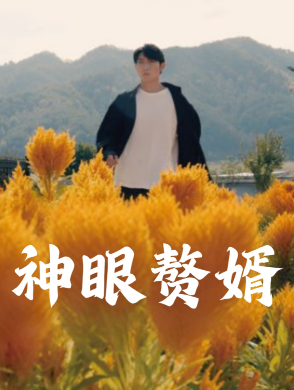 神眼赘婿