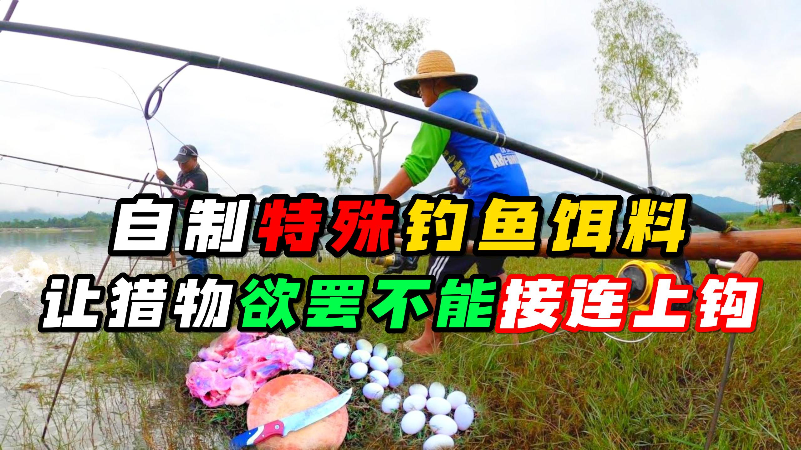 自制鸡蛋猪血鸡胸肉的钓鱼饵料,让猎物欲罢不能接连上钩,绝了