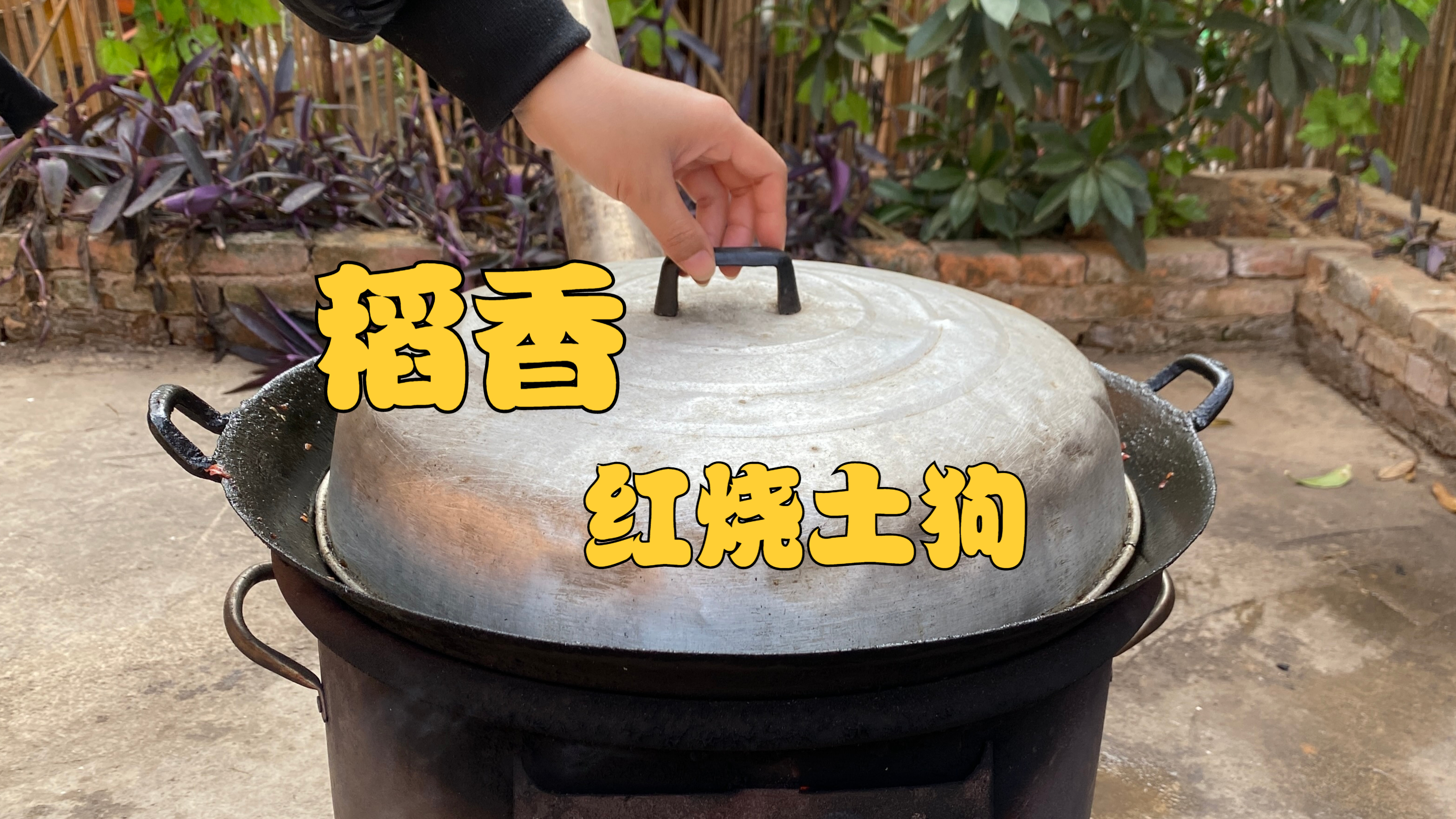 狗肉滚三滚，神仙站不稳，吃了多年的土狗肉，就喜欢这吃法，真香