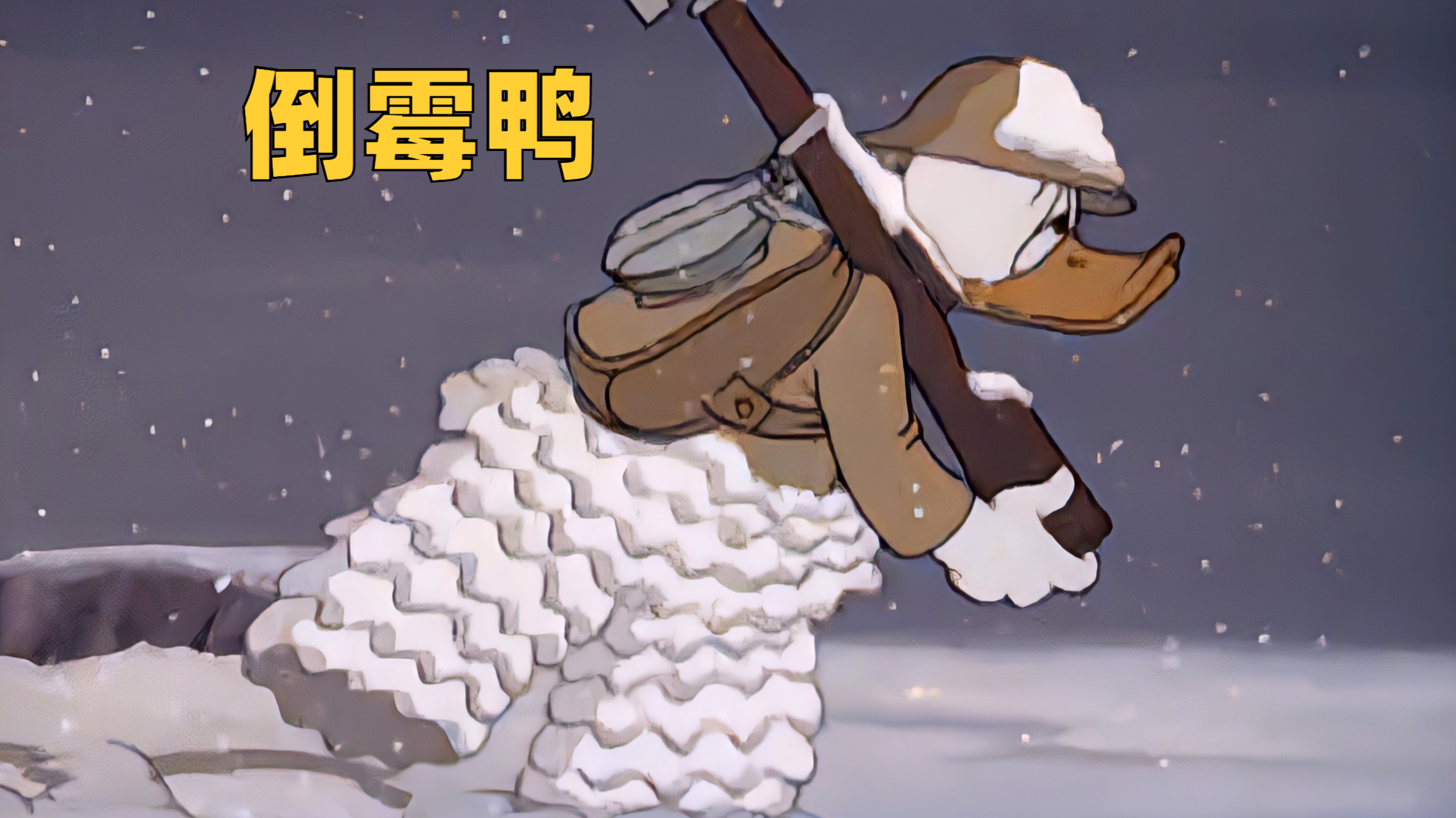 你见过这么倒霉唐老鸭吗?倒霉鸭长征,越看越离谱