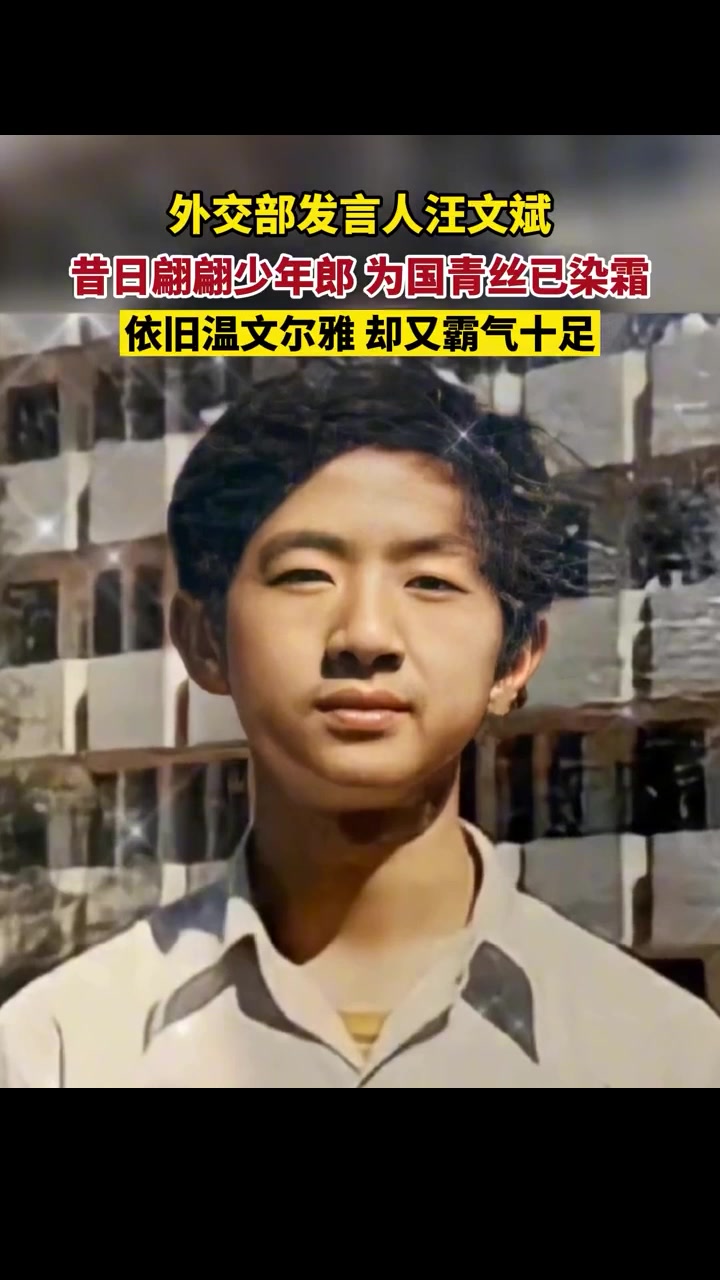 外交部发言人汪文斌,昔日翩翩少年郎,为国青丝已染霜-度小视