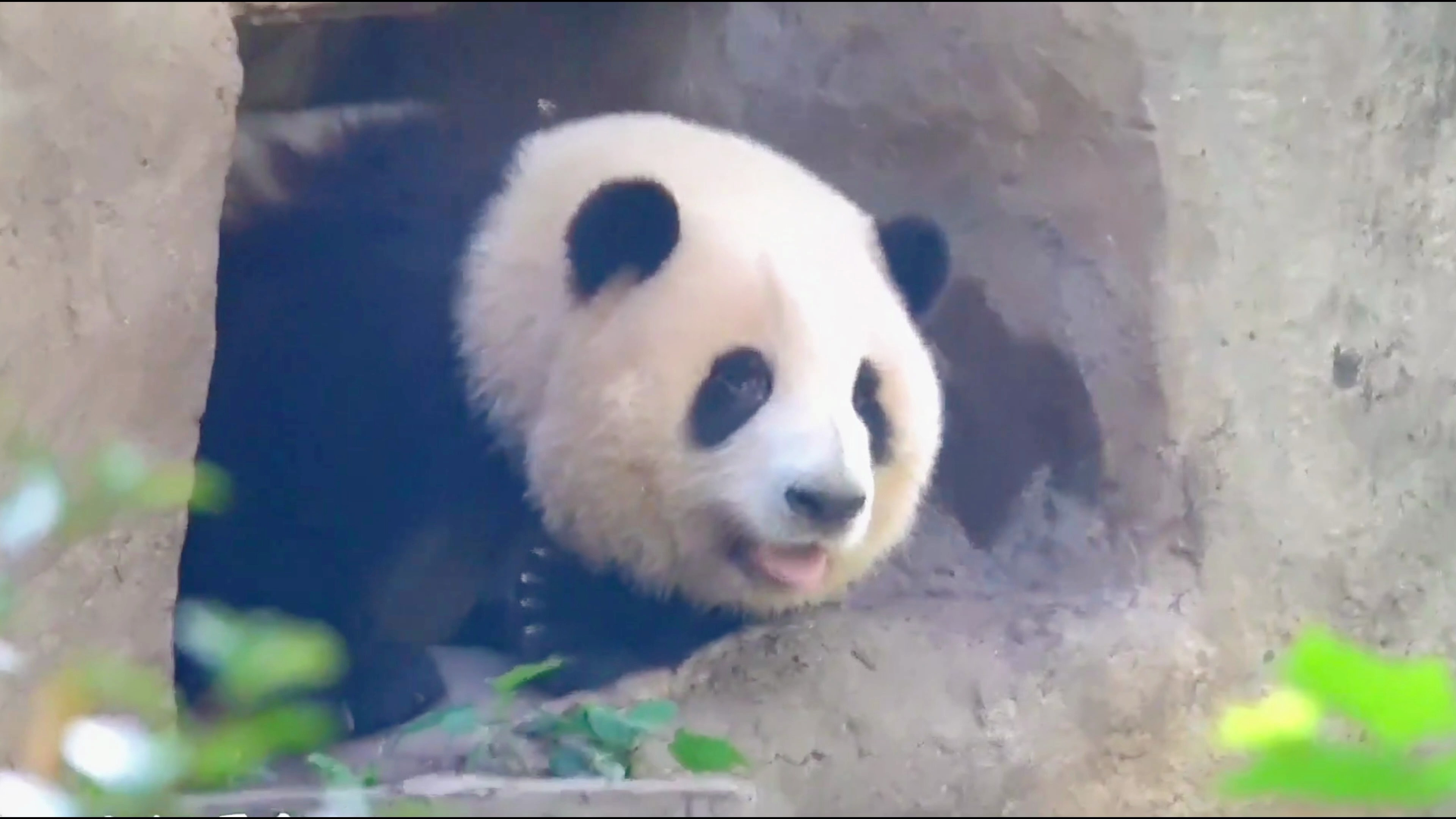 冲鸭冲鸭!每天早上一道靓丽的风景!累并快乐着