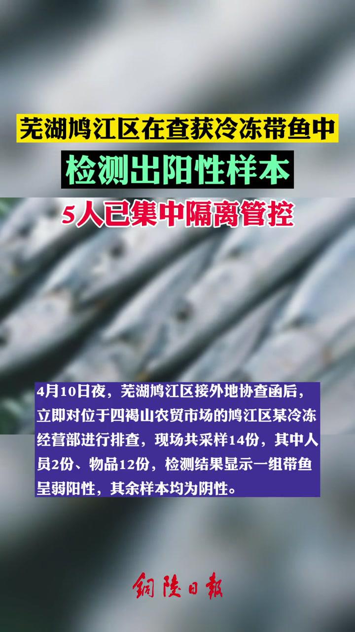 芜湖鸠江区在查获冷冻带鱼中检测出阳性样本芜湖阳性带鱼