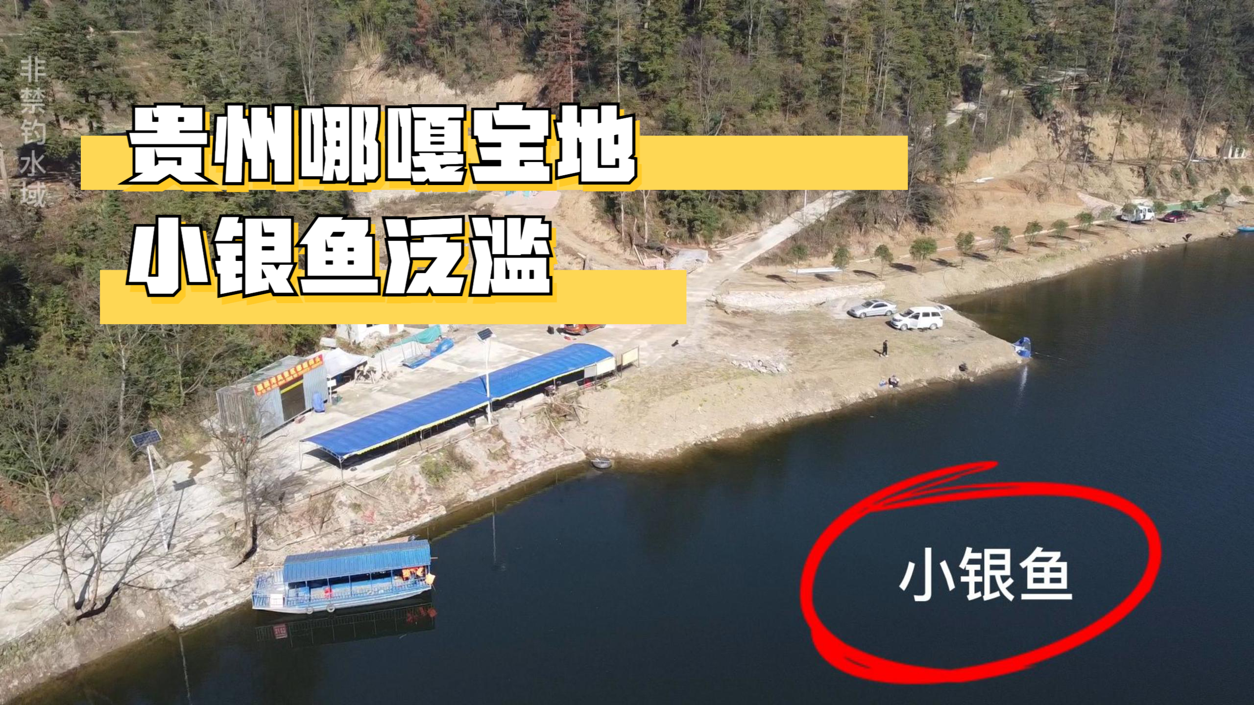 位于贵州哪嘎水域的小宝藏,夜晚水面小银鱼很多,这样抓鱼很有趣