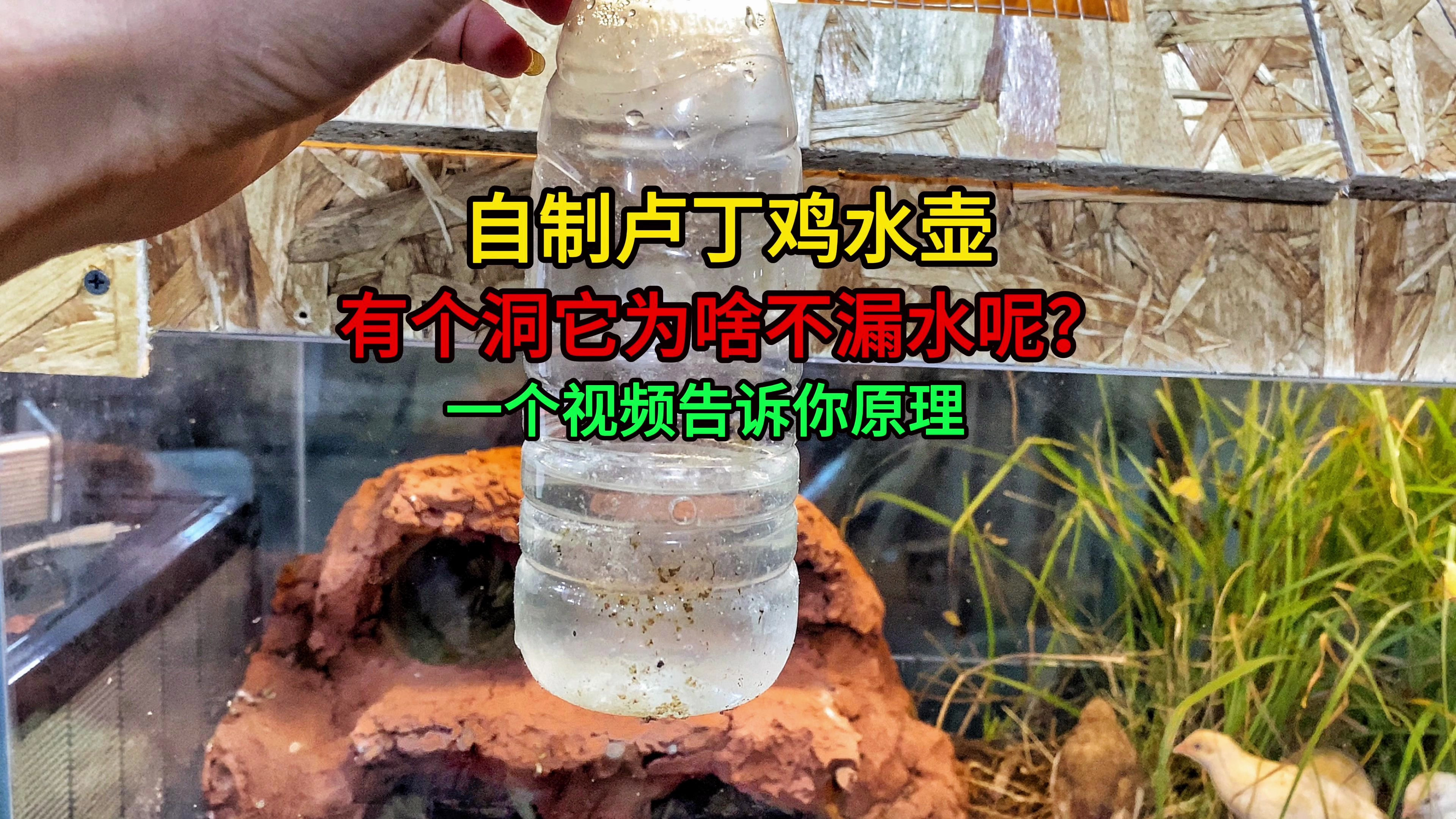 自制卢丁鸡水壶为啥不漏,一个视频告诉你