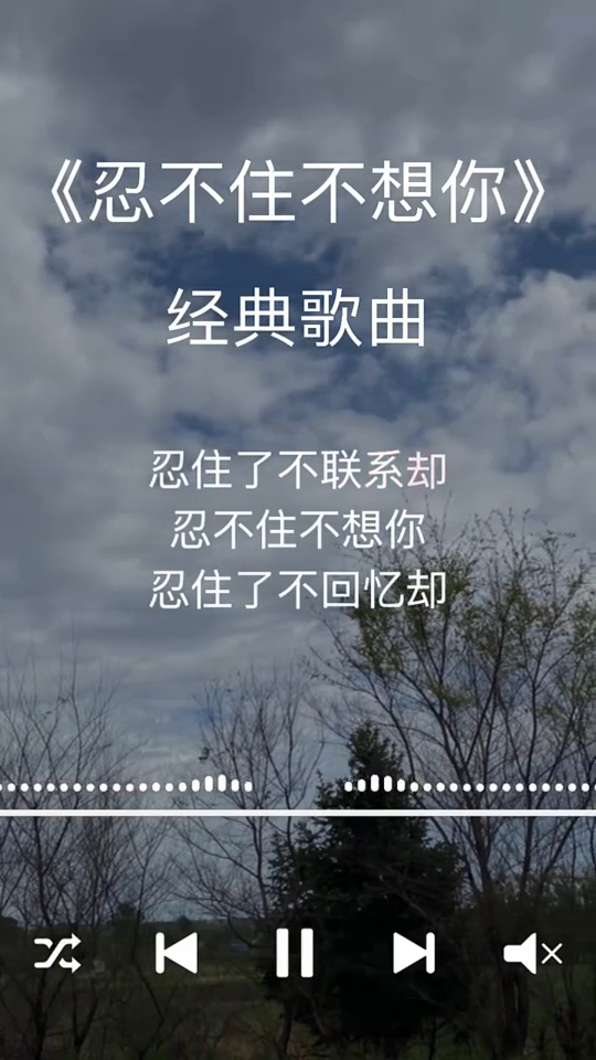 言言经典音乐分享经典歌曲分享忍不住想你评论区留下你的足迹