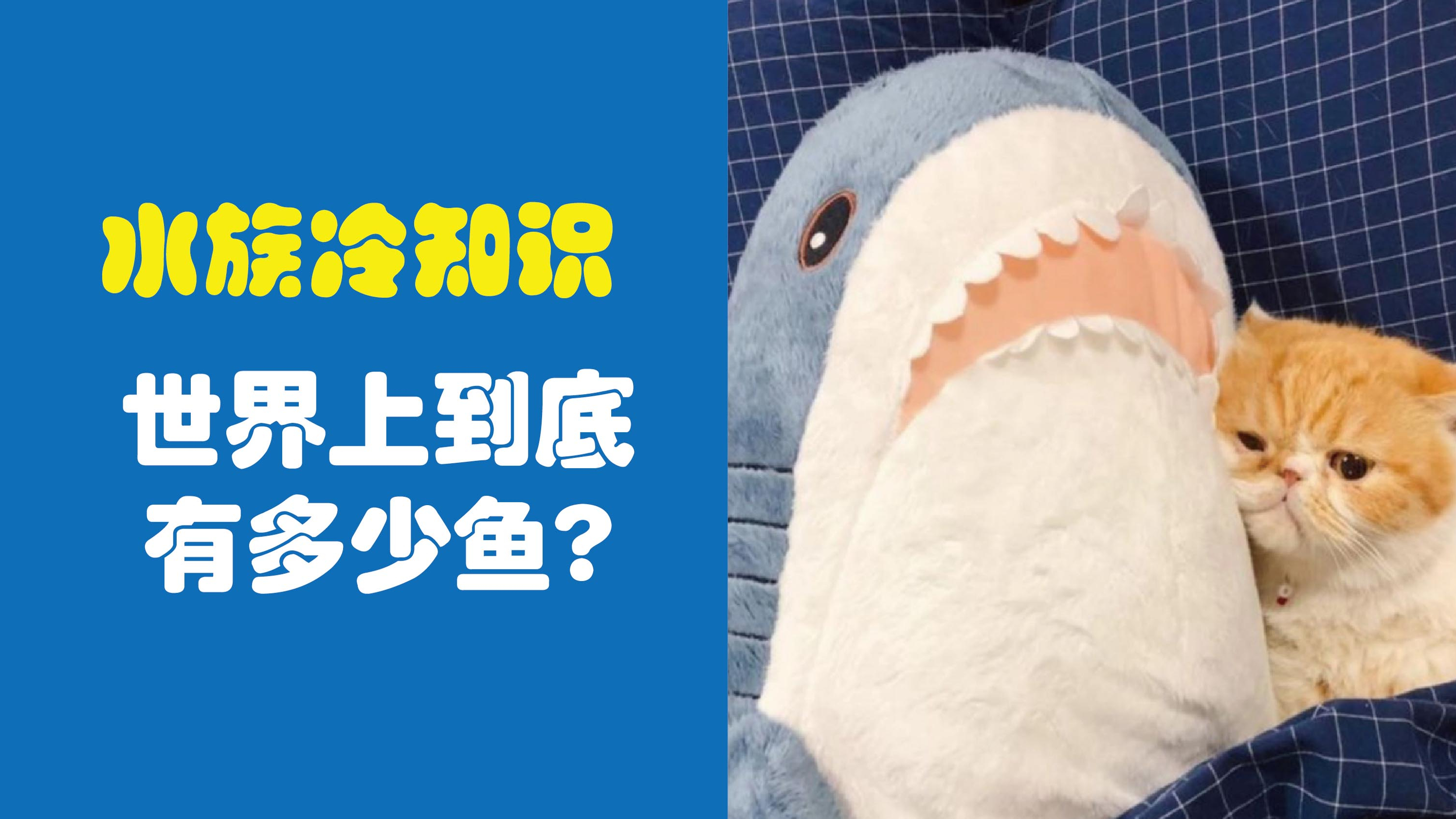 地球上鱼类知多少,世界上到底有多少鱼
