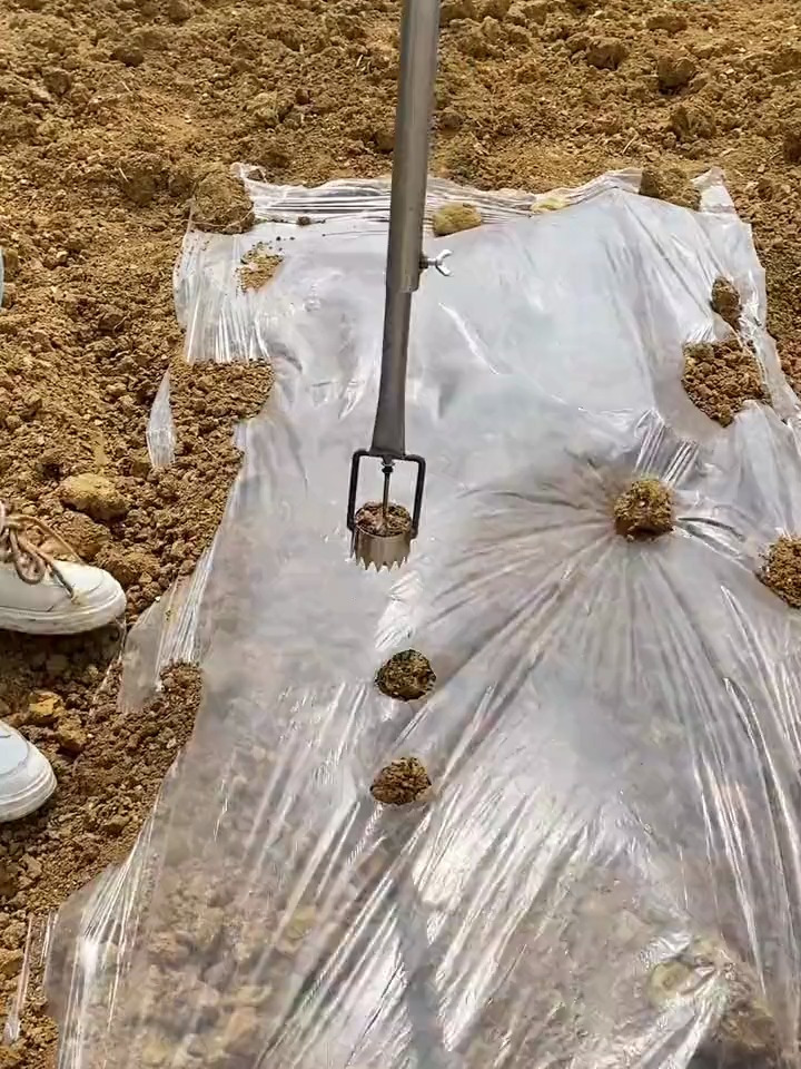 不锈钢地膜打孔器,打孔轻松省力,农用好帮手