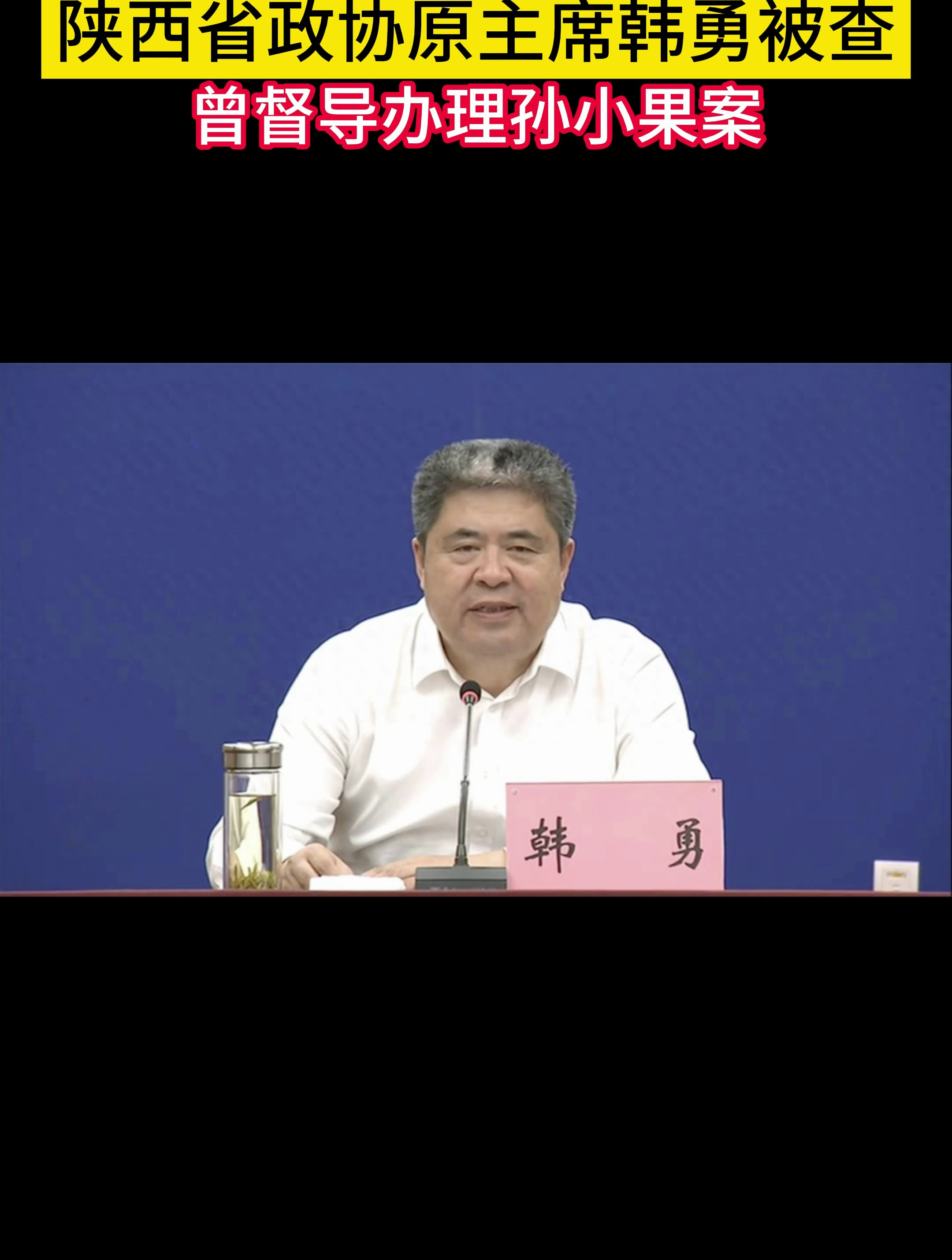 韩勇被查,曾督导办理孙小果案-度小视