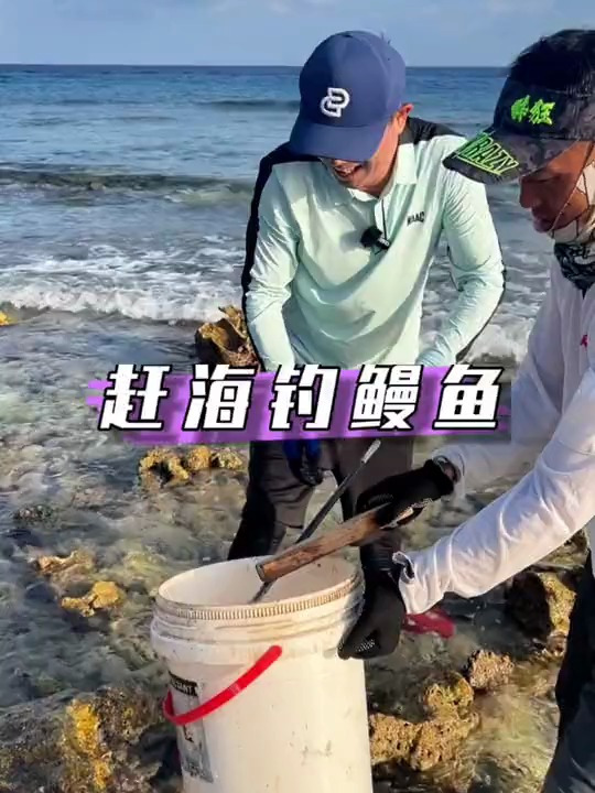 马尔代夫赶海钓鳗鱼,一小时居然收获十几条