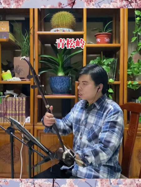 二胡演奏一曲《青松岭》,听经典乐曲,让人流连忘返!