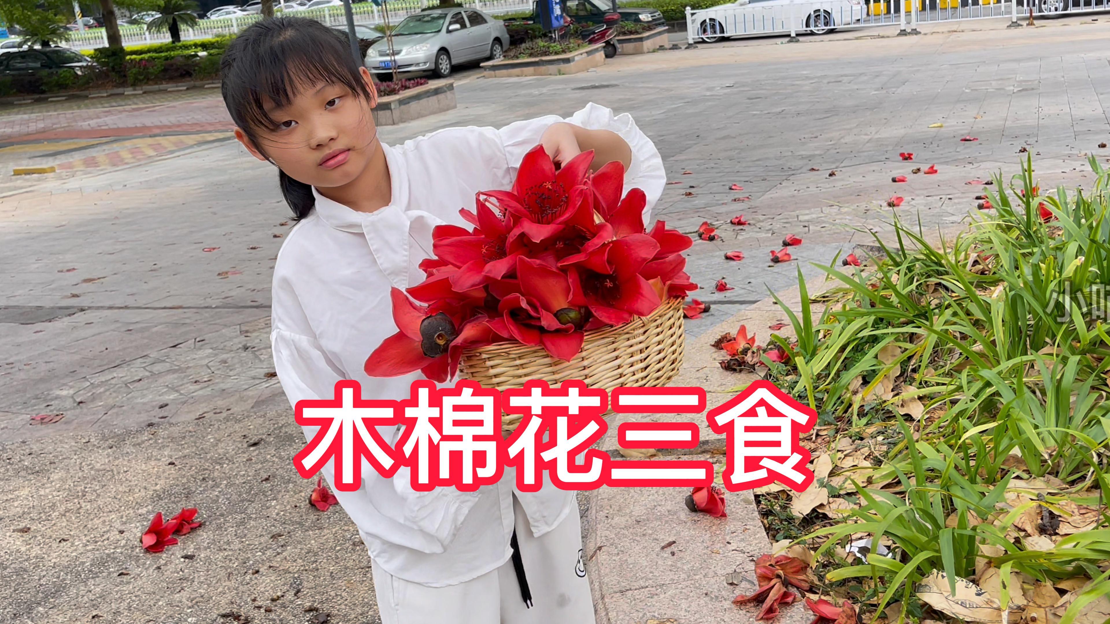 如果给你一篮木棉花，你会拿来晒吗？木棉花汤祛湿，很适合这天气
