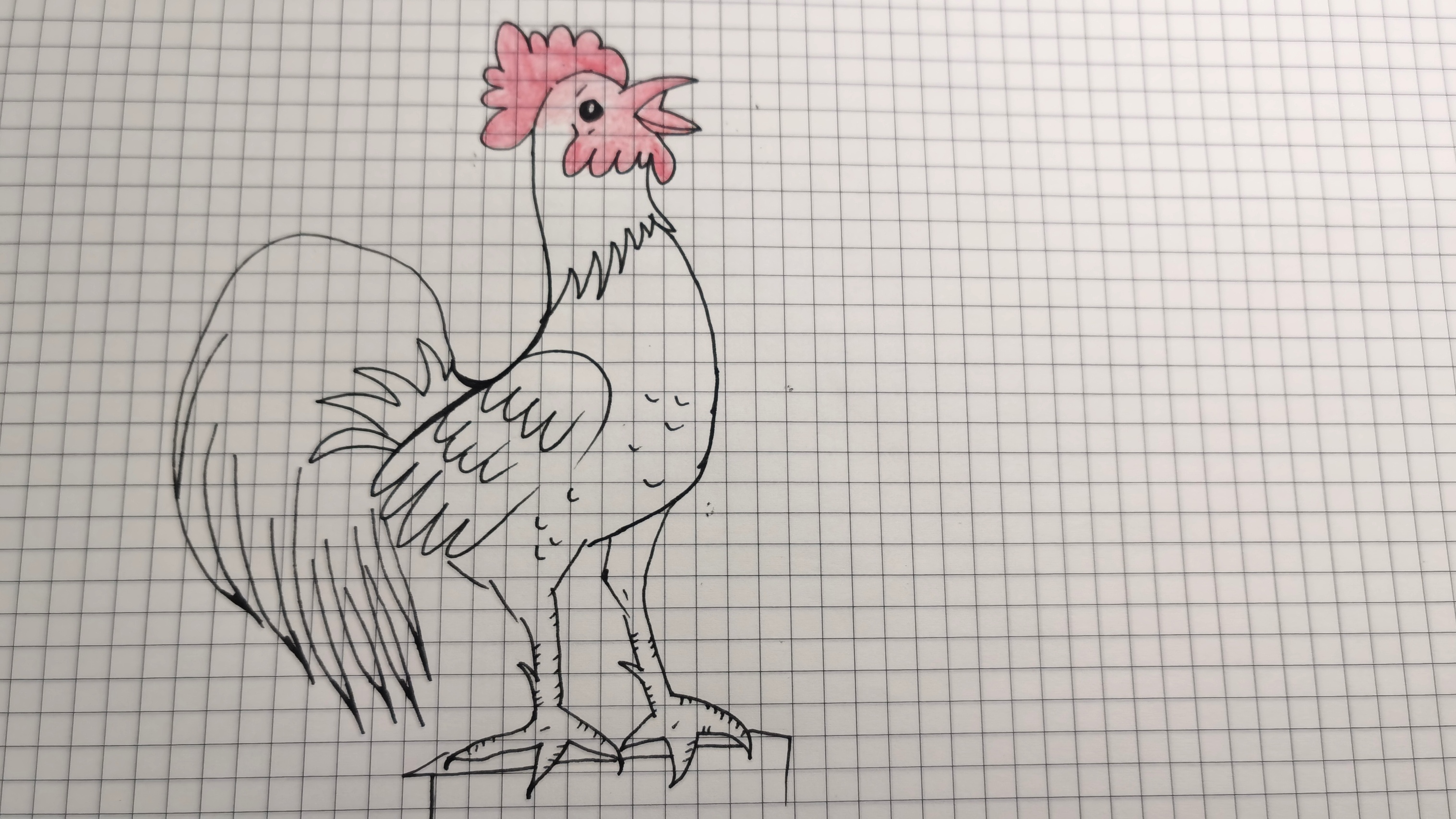 用O画鸡的简笔画绘画教程,你学会了吗?