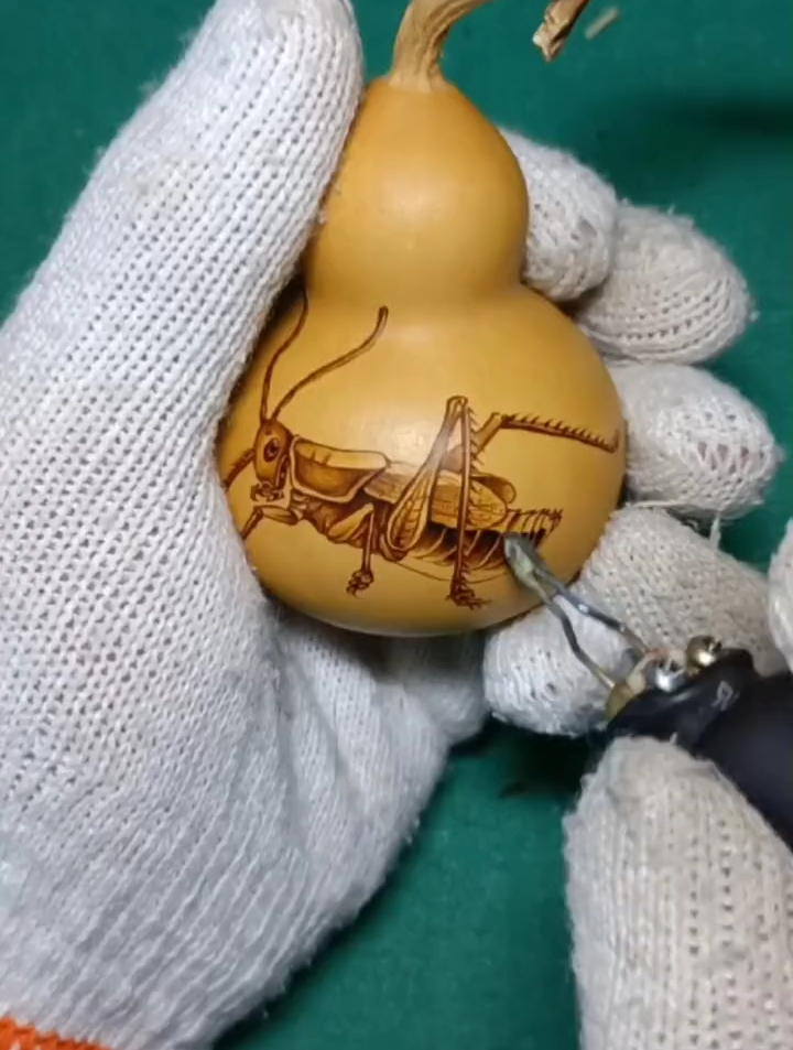 蚂蚱烙画葫芦,传统文化 葫芦烙画 手艺人 非遗传承-度小视