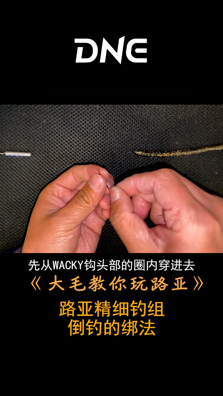 路亚小知识路亚精细钓组倒钓的绑法