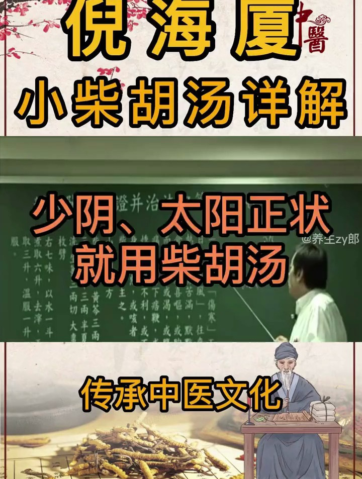 倪海廈講中醫:小柴胡湯,暖男必備