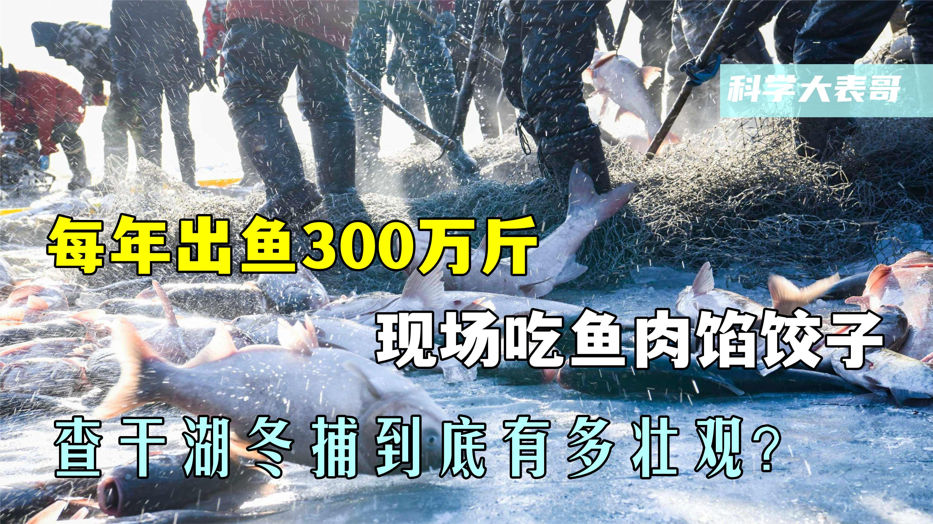 头鱼卖169万,每年出鱼300万斤,查干湖冬捕到底有多壮观?