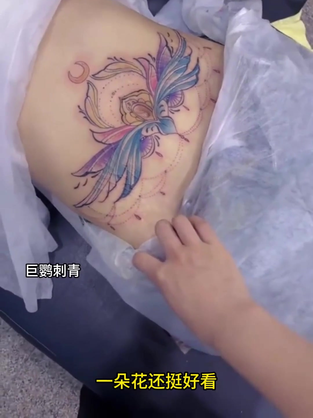 这纹身真有艺术气息,一朵花还挺好看,正好盖满整个小腹