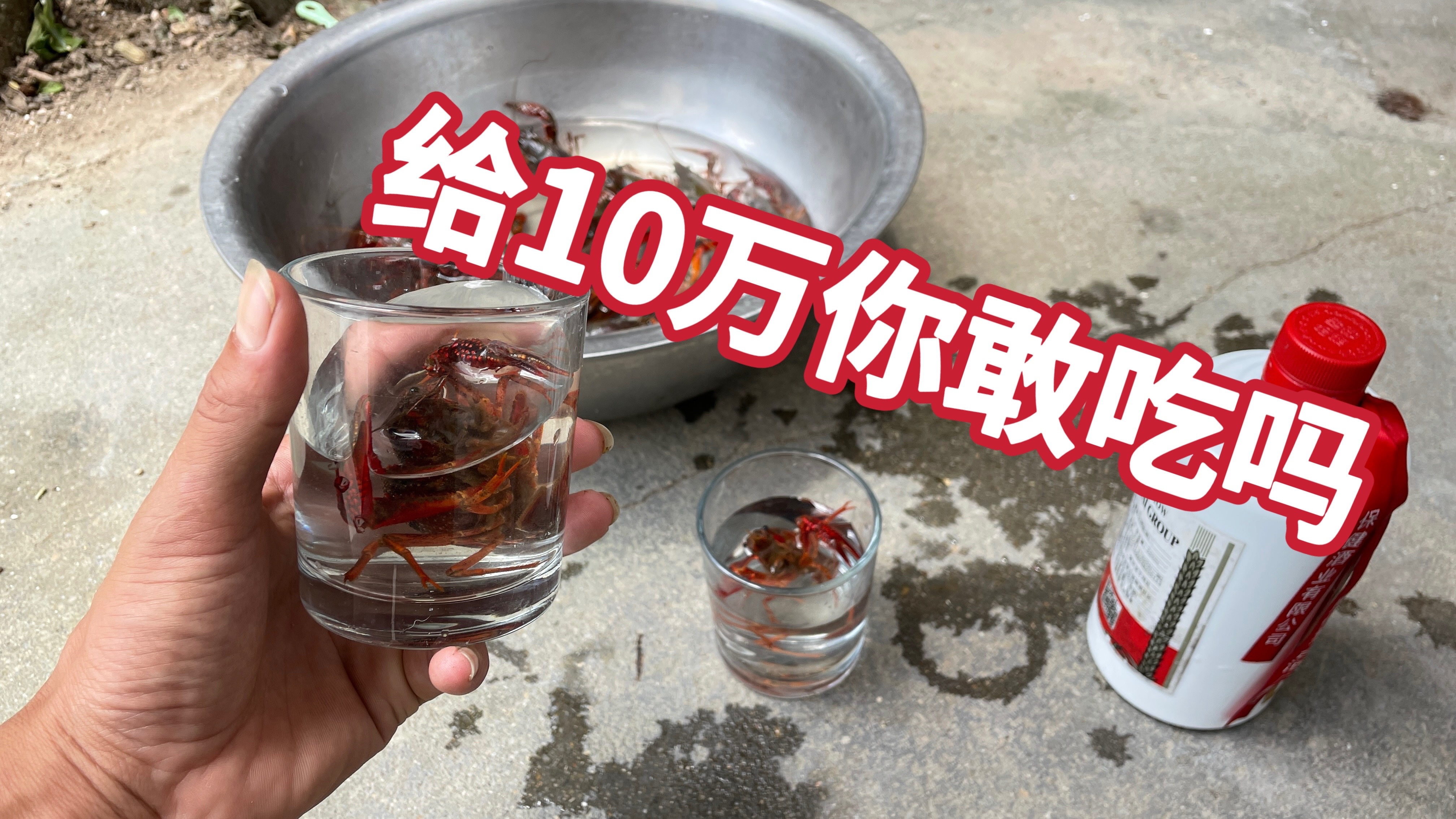 恐怖寄生虫你见过吗?把68度白酒倒入龙虾中,吃过龙虾的看看吧