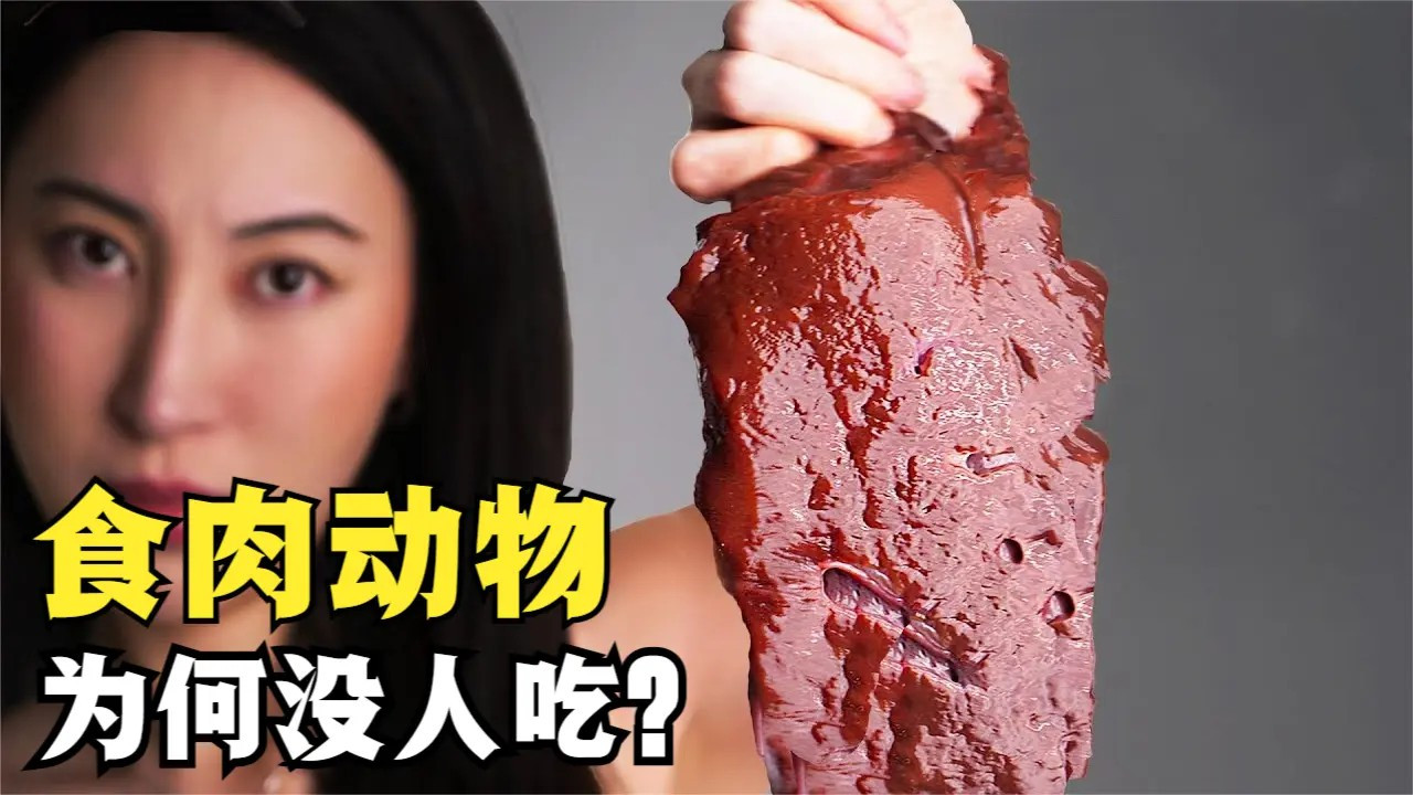 人类为何不吃食肉动物,是因为不喜欢吗?还是怕打不过?