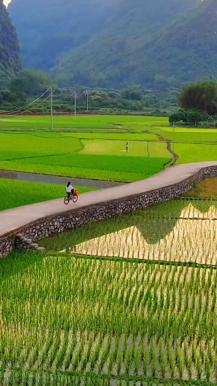 行走在田埂边吸一口乡村空气,真让人感到舒适