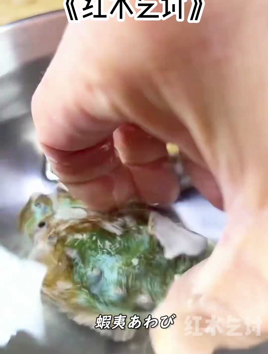 小说;我和嫡姐同时救下身为前朝遗孤的小哑巴