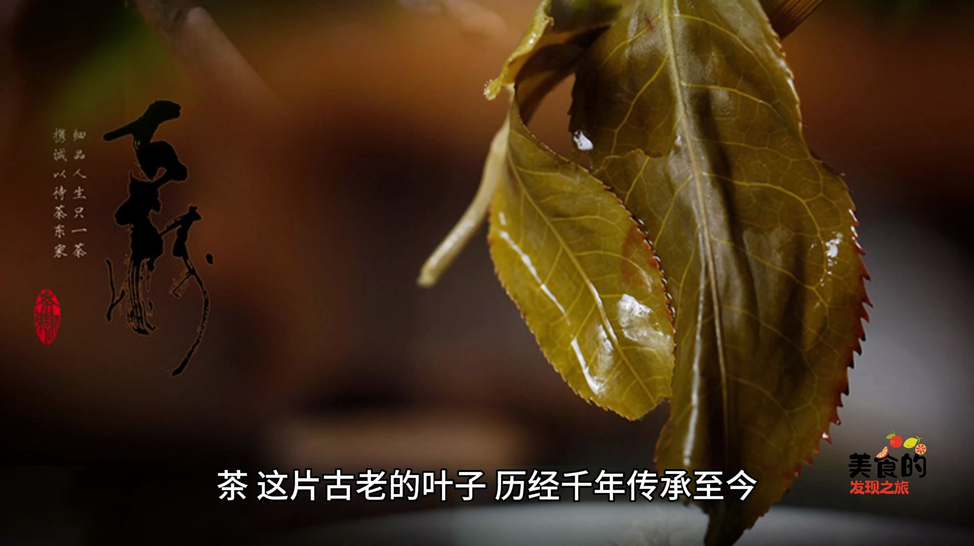 绿茶属于什么茶的系列:一篇深度解析绿茶起源、种类与特性