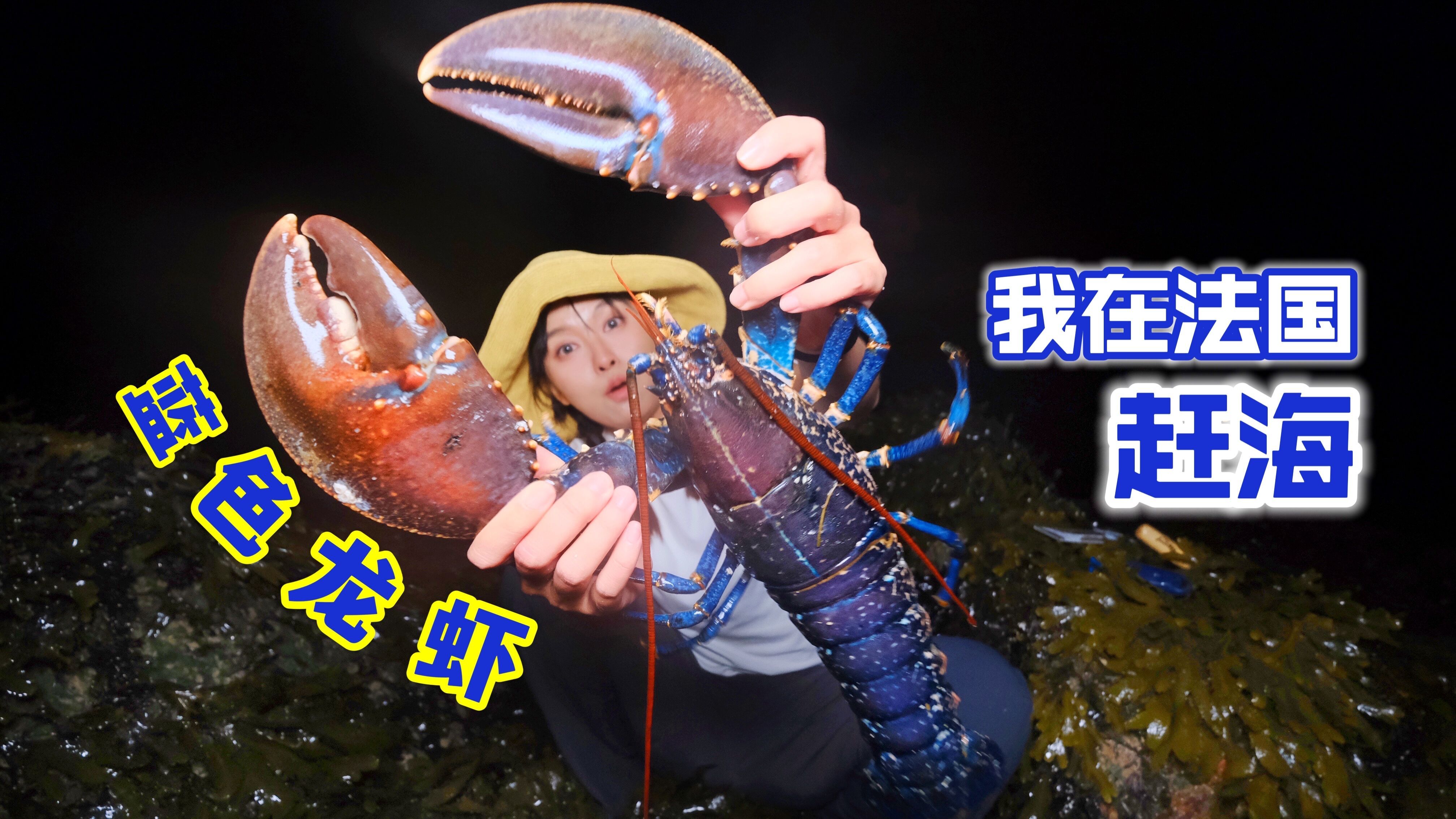 在法国赶海,夜袭3斤重的海蓝大龙虾,烤熟后甜脆弹牙