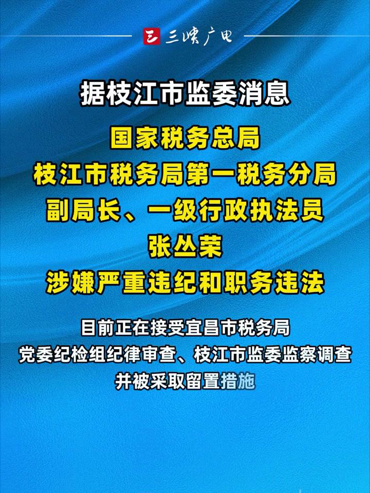 国家税务总局枝江市税务局第一税务分局副局长,一级行政执法员张丛荣