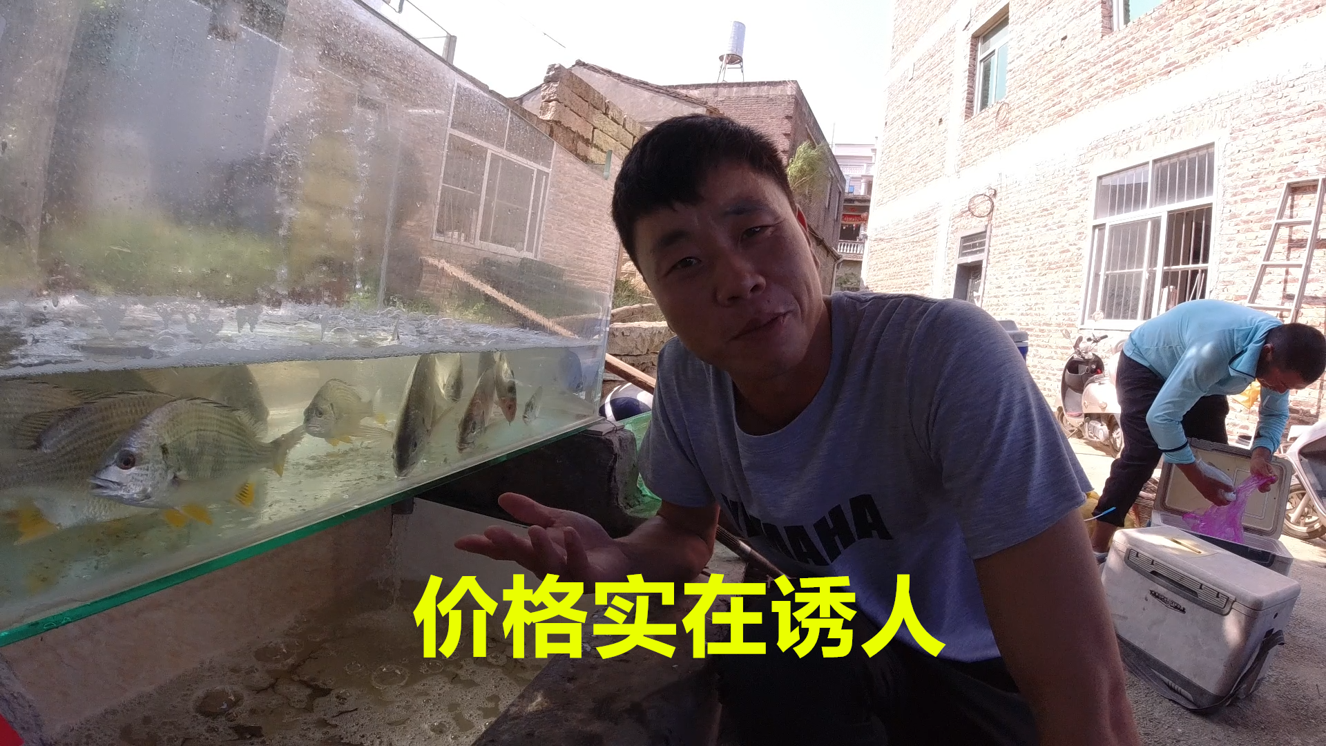 长寿之乡的鱼价有多诱人?阿锋听完不淡定了,恨不得马上去钓