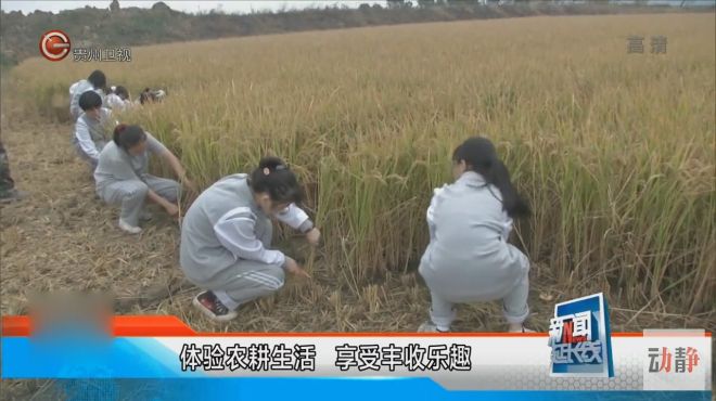 [图]浙江学生走进农村下农田体验农耕生活，享受丰收乐趣