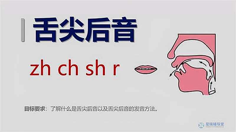 什么是舌尖后音及zh、ch、sh、r的发音方法,教育,在线教育,好看视频