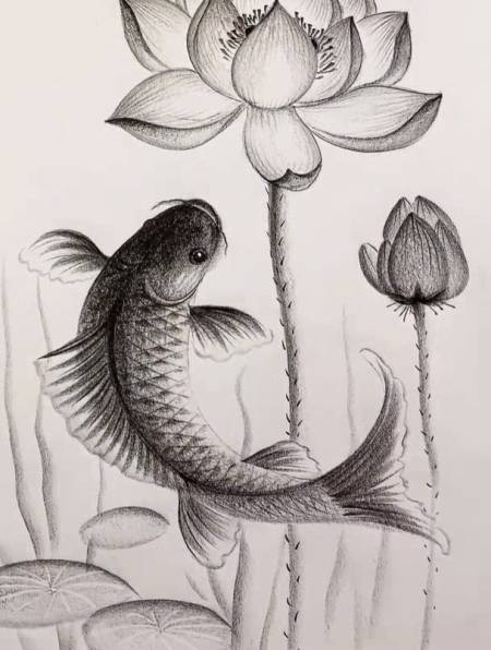 锦鲤戏莲,好运连连!一起学画画 一学就会系列 炭笔画-度小视