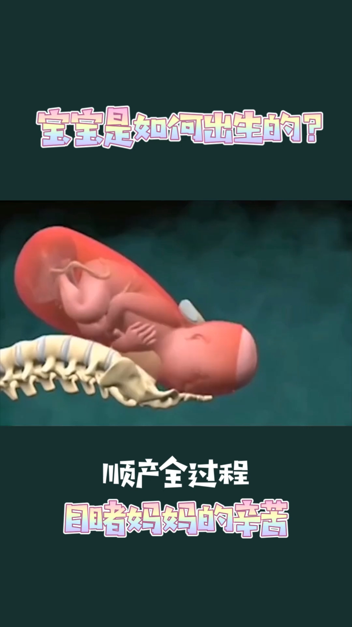 宝宝是如何出生的一起看下顺产全过程