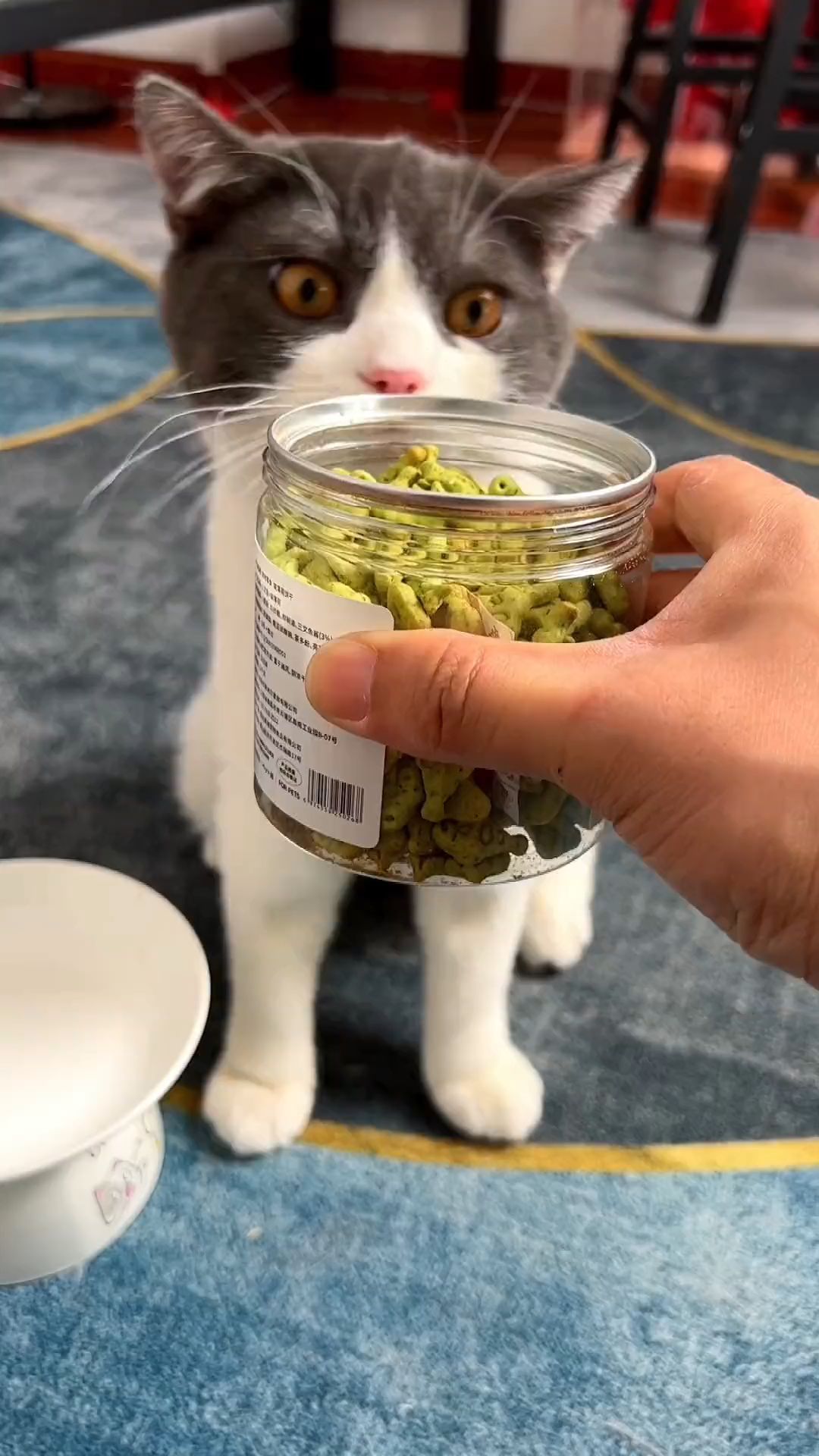 让猫咪听到声音就会飞奔过来的猫薄荷饼干