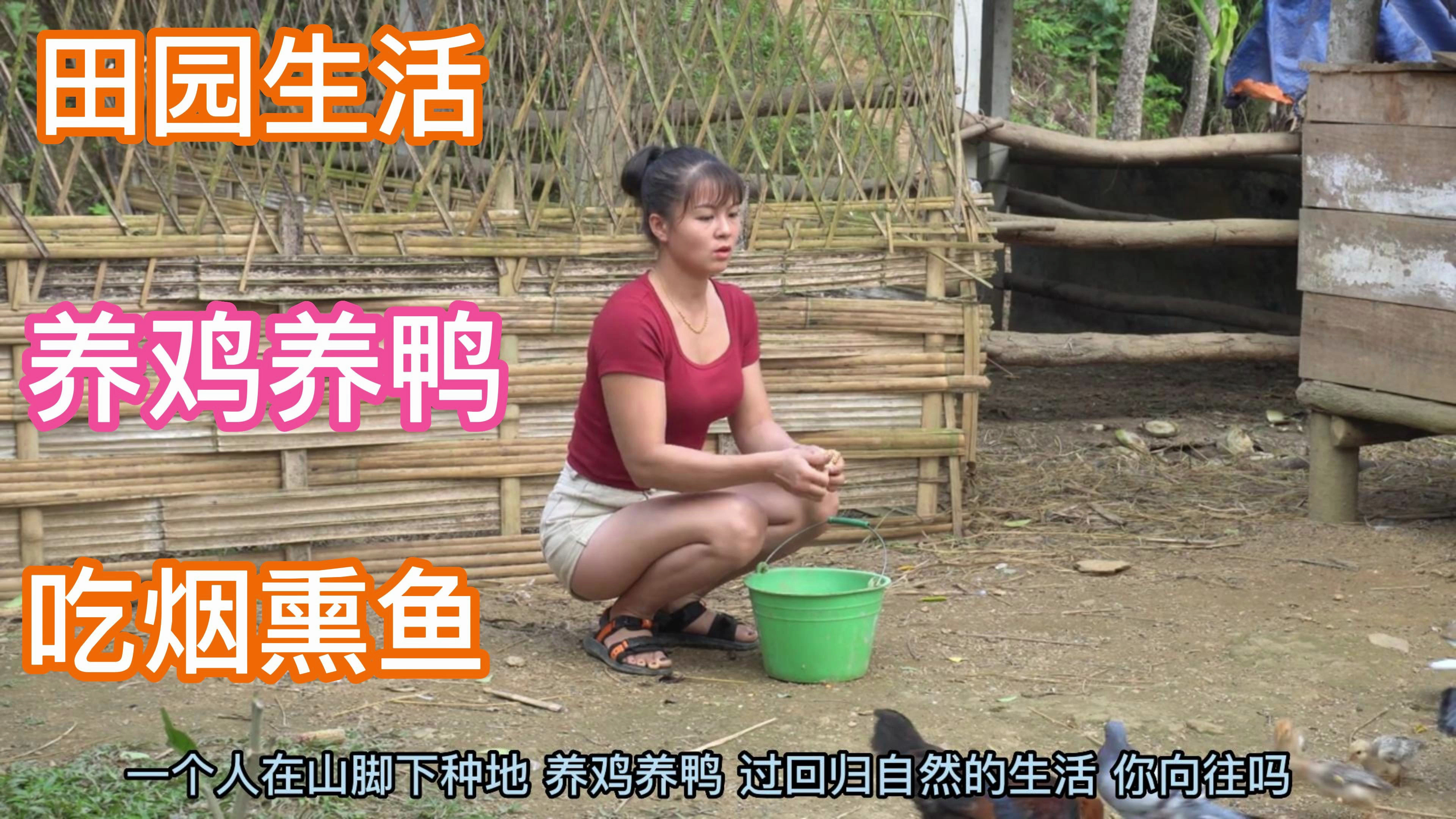 深山里过得悠然自得,制作一大篮子烟熏鱼,满满的都是收获的喜悦
