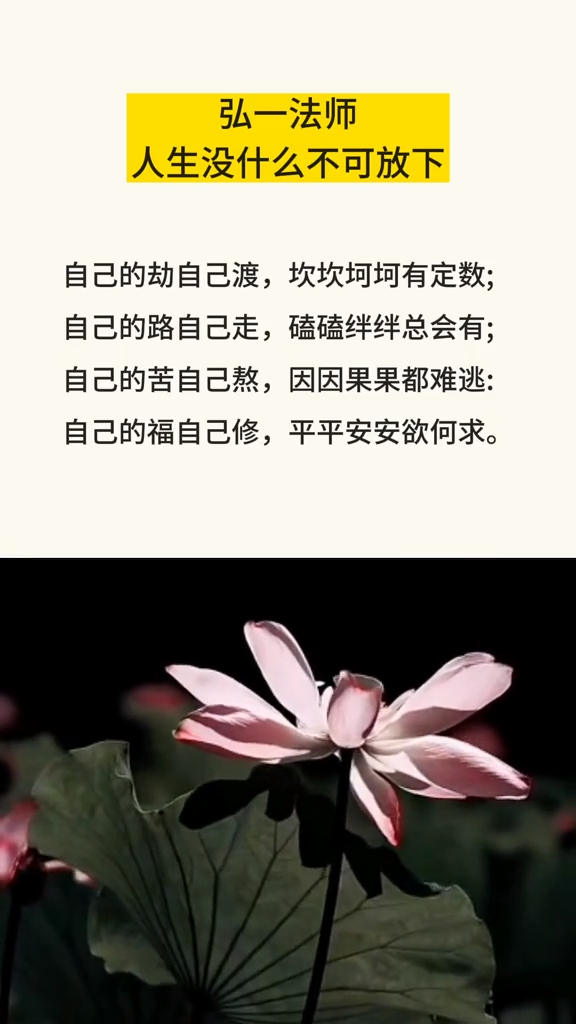 自己的劫自己渡坎坎坷坷有定数自己的路自己走磕磕绊绊总会有