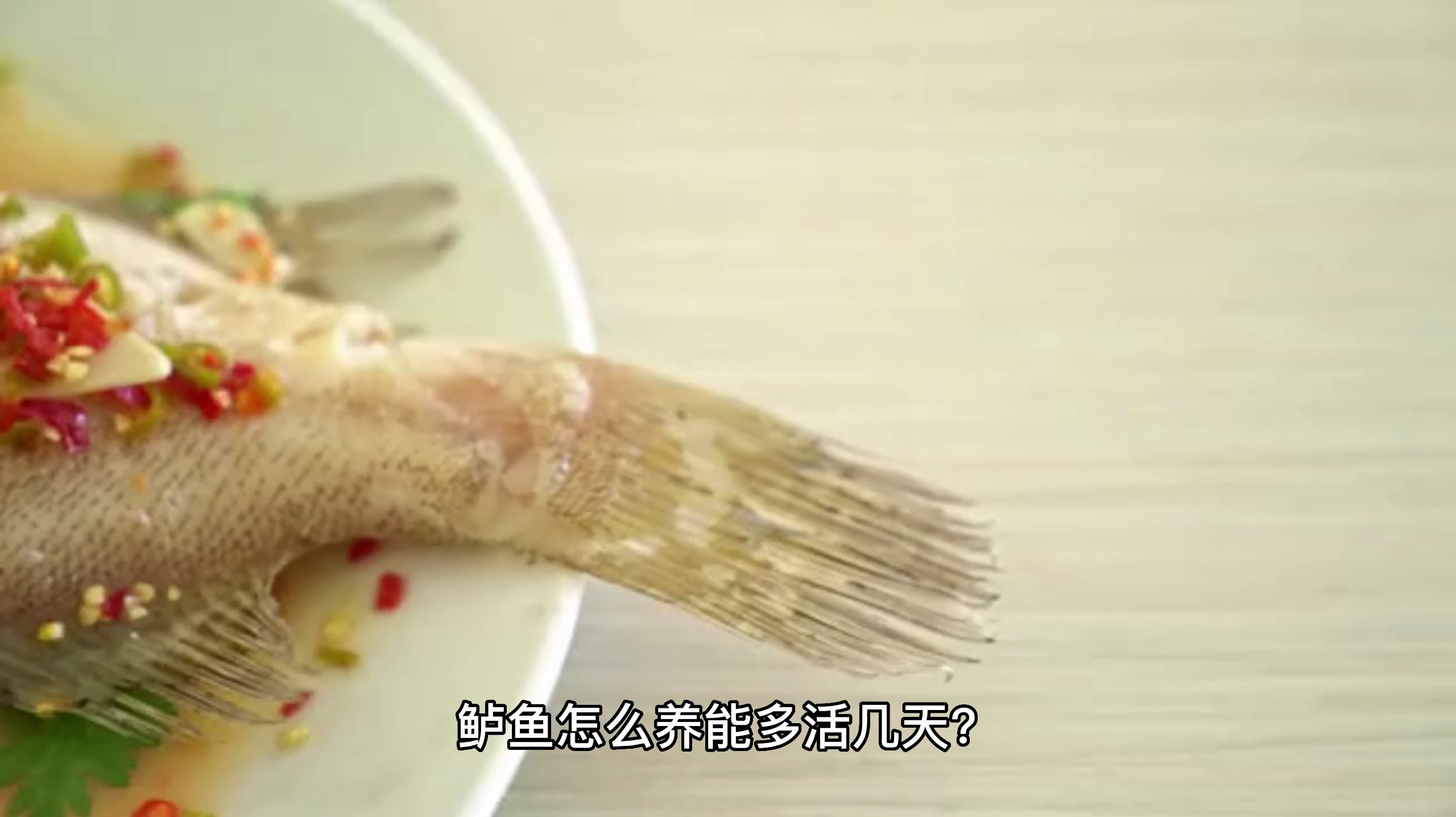 鲈鱼怎么养能多活几天