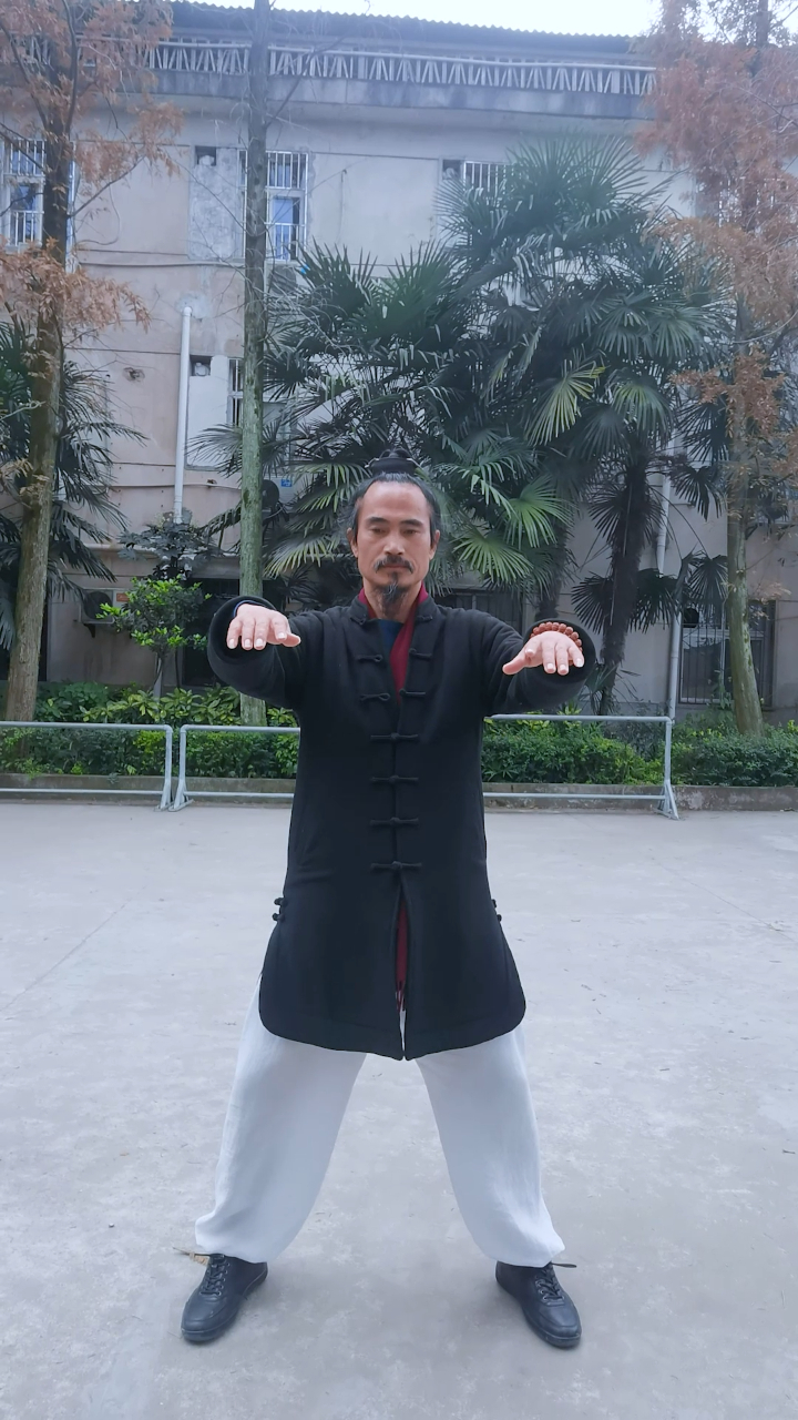 这个太极拳它难吗武当袁师懋道长先跟我学个起势