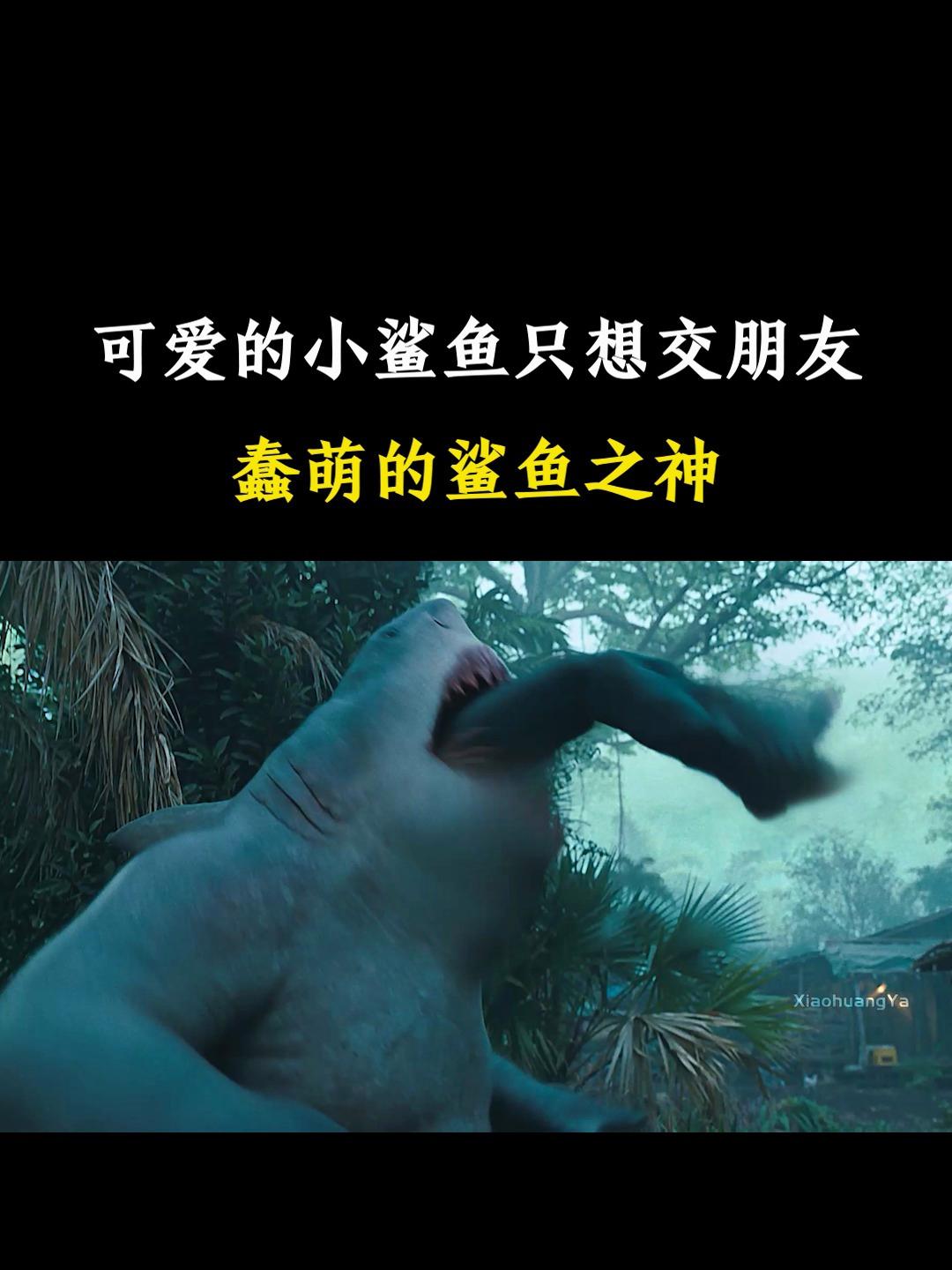 小鲨鱼只想交朋友有什么错?